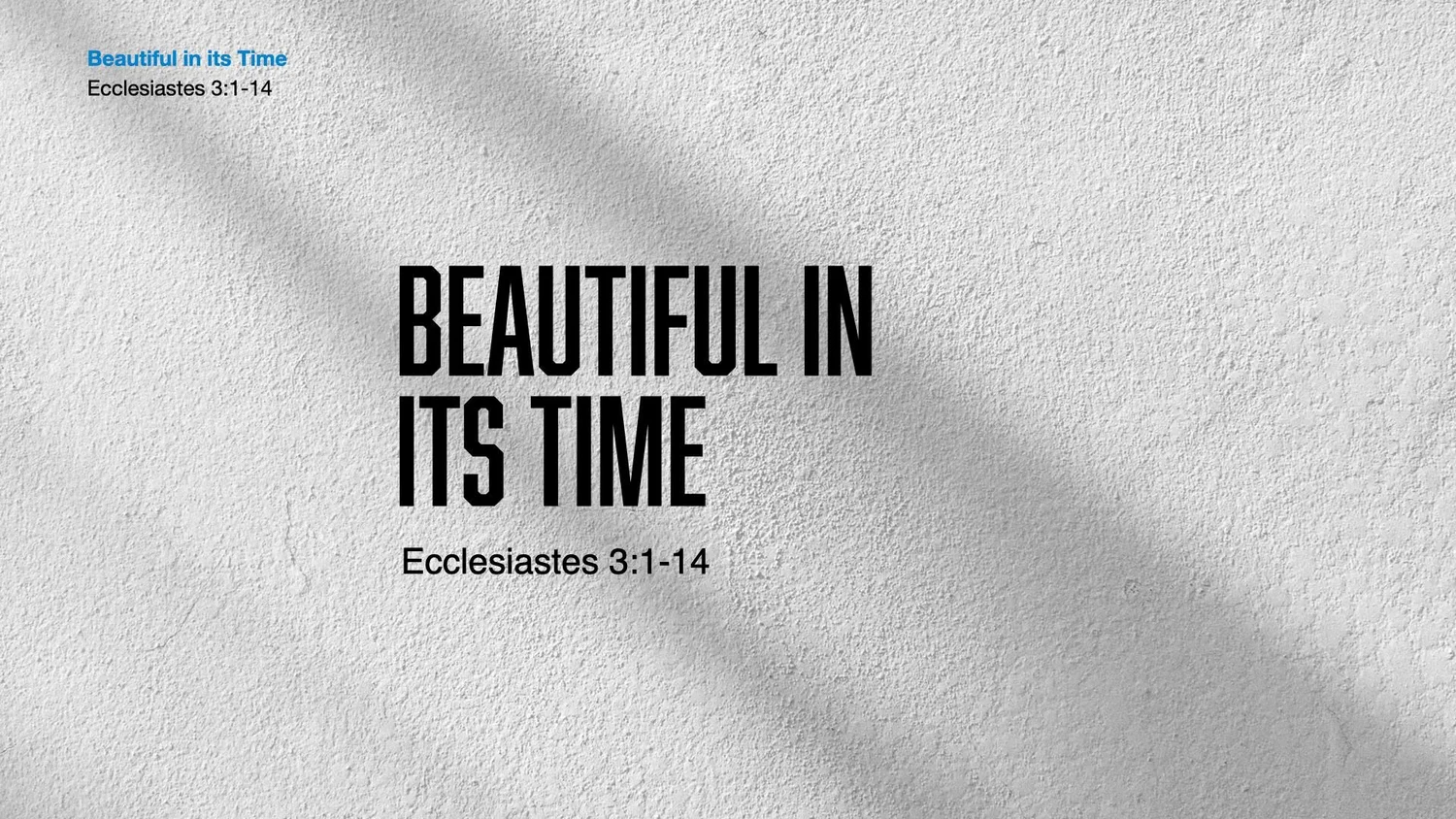 Beautiful In Its Time episode artwork