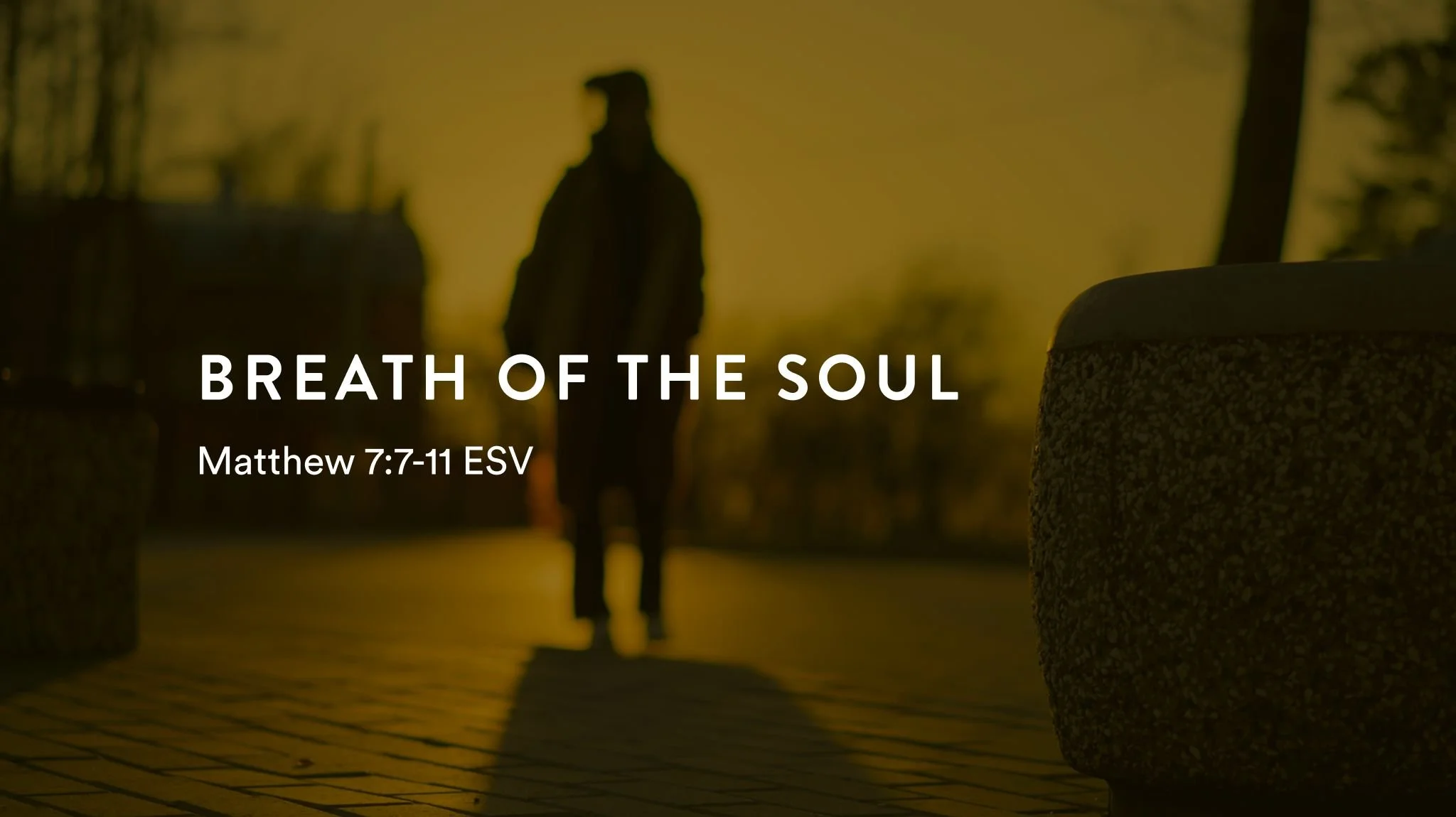 Follow Me Series: Breath of the Soul