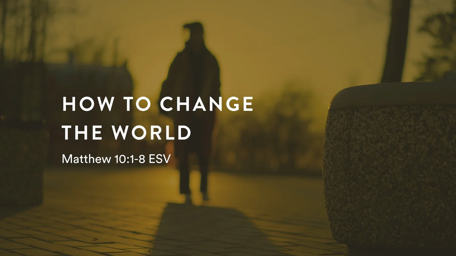 Follow Me Series: How to Change the World