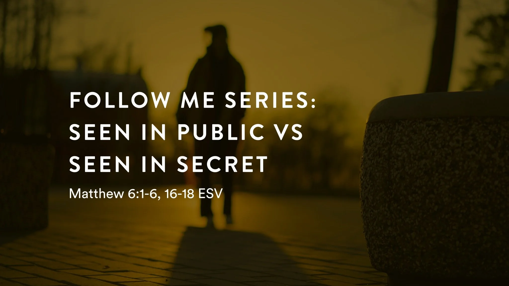 Follow Me Series: Seen in Public vs Seen in Secret