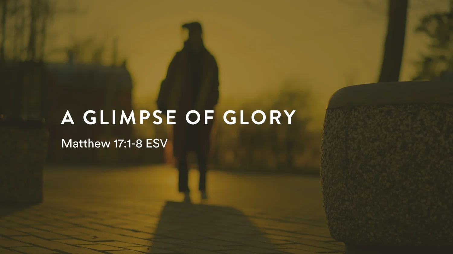 Follow Me Series: A Glimpse of Glory