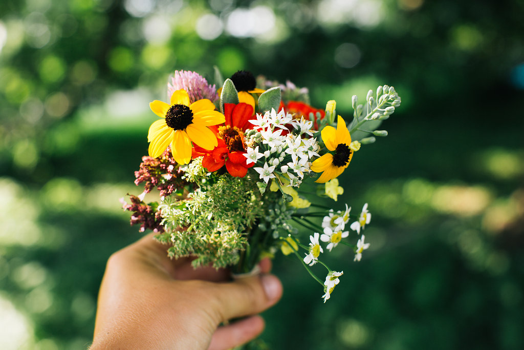 Farmhouse.Flowers_at_Mayneland.Farm-6982.jpg