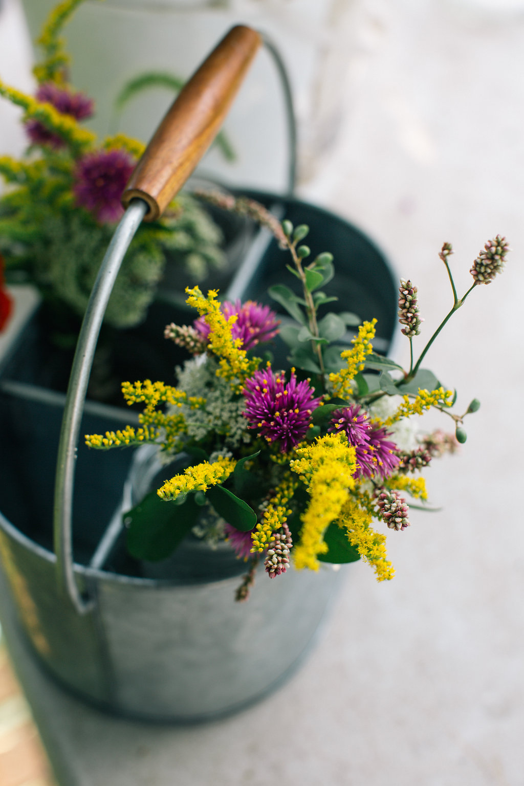 Farmhouse.Flowers_at_Mayneland.Farm-6953.jpg