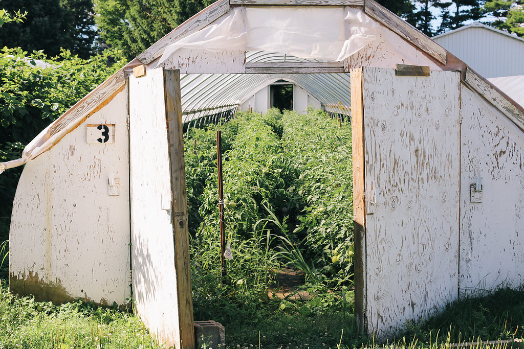 Farmhouse.Flowers_at_Mayneland.Farm-5769.jpg