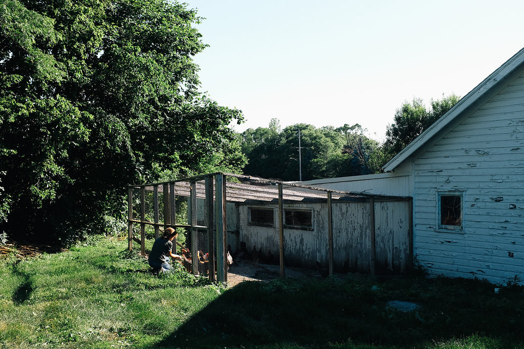 Farmhouse.Flowers_at_Mayneland.Farm-2606.jpg