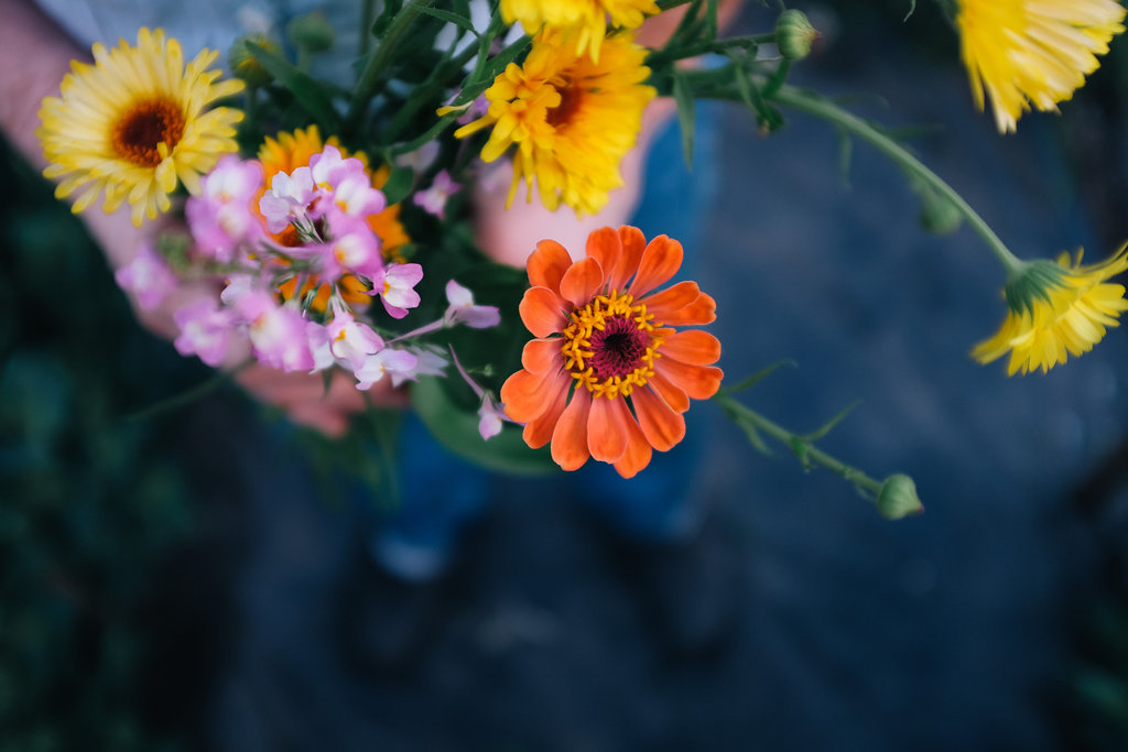 Farmhouse.Flowers_at_Mayneland.Farm-2550.jpg