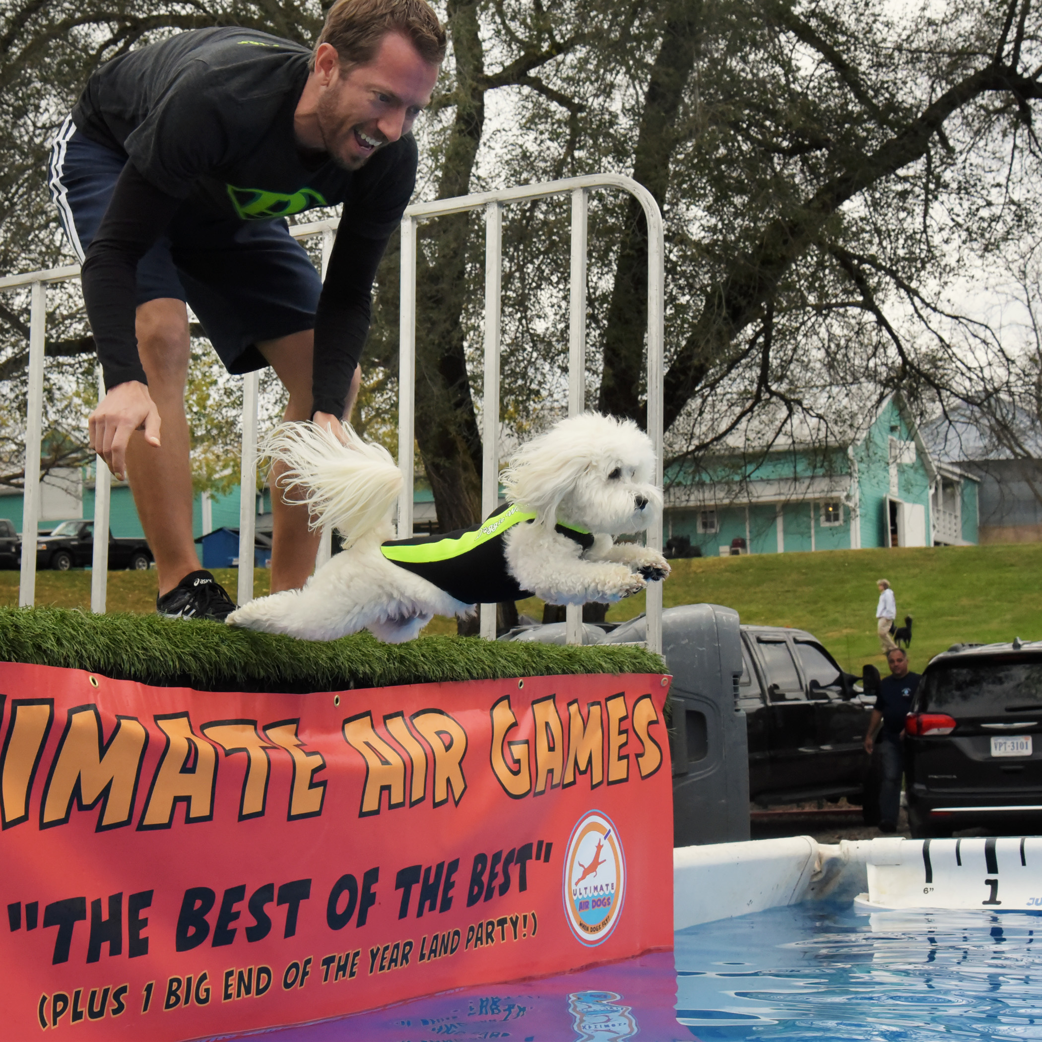  Bruiser’s very first (practice) jump into the pool was beautiful…nice and straight, full of power! 