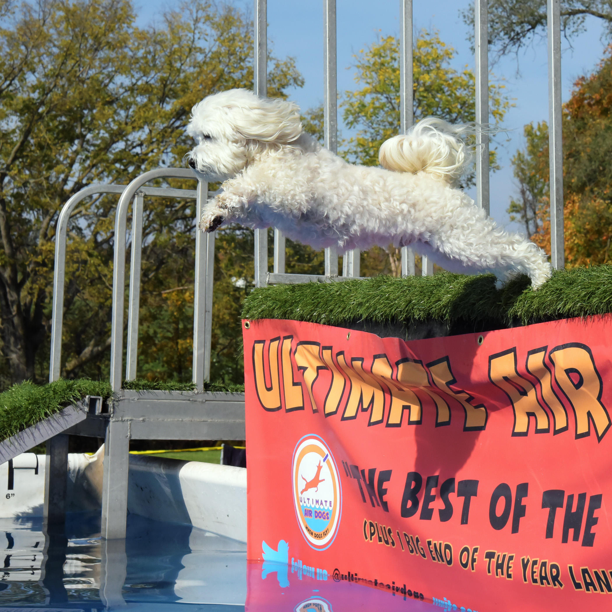  I jumped without my wetsuit today to see if that would make a difference. Even with that test, we still don’t know what the right option is. I had two longer jumps and two shorter jumps. But, I sure look cute jumping when I’m all fluffy! 