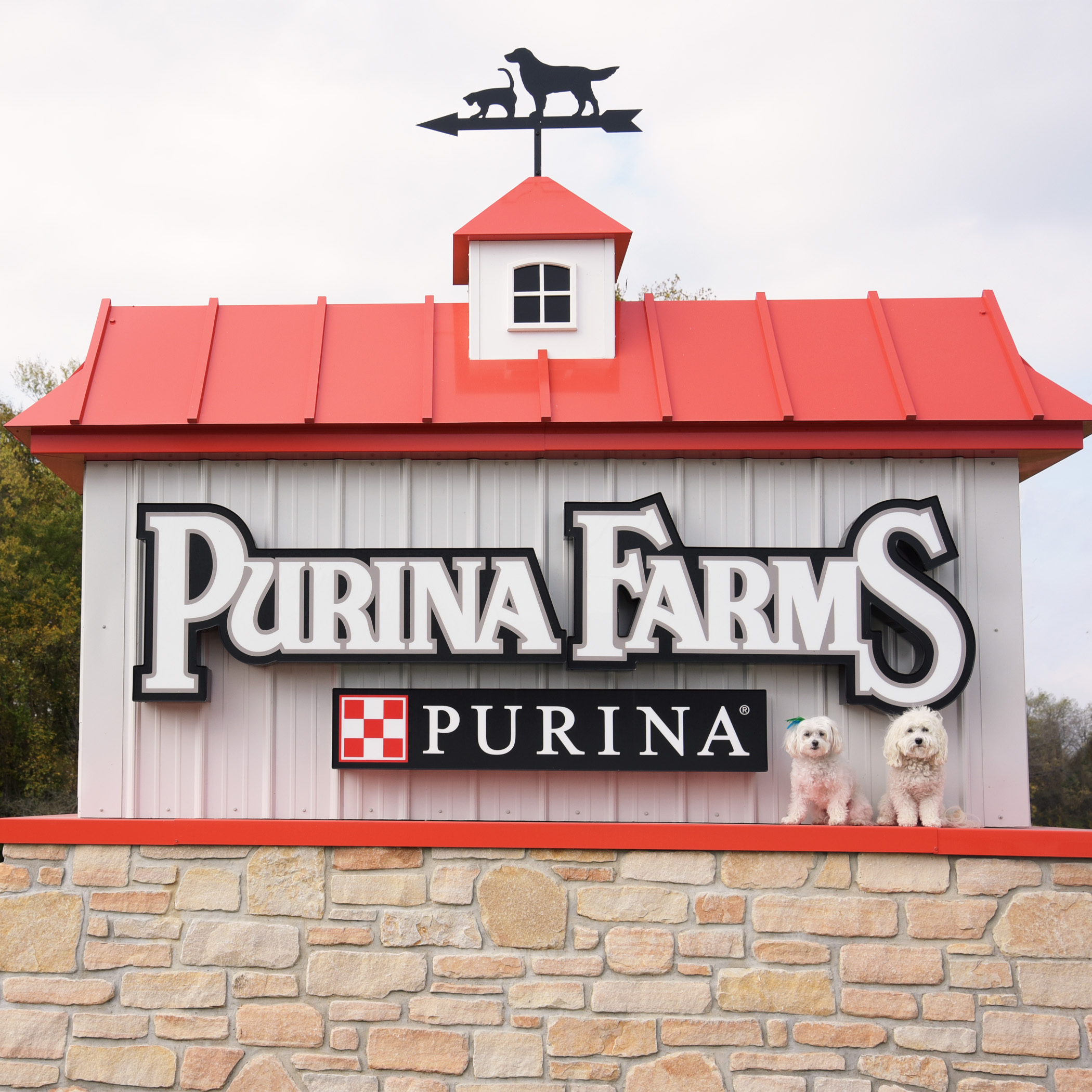  Goodbye Purina Farms and Ultimate Air Games!! It was a blast…maybe we’ll see you next year! (It may take us that long to recover!) 