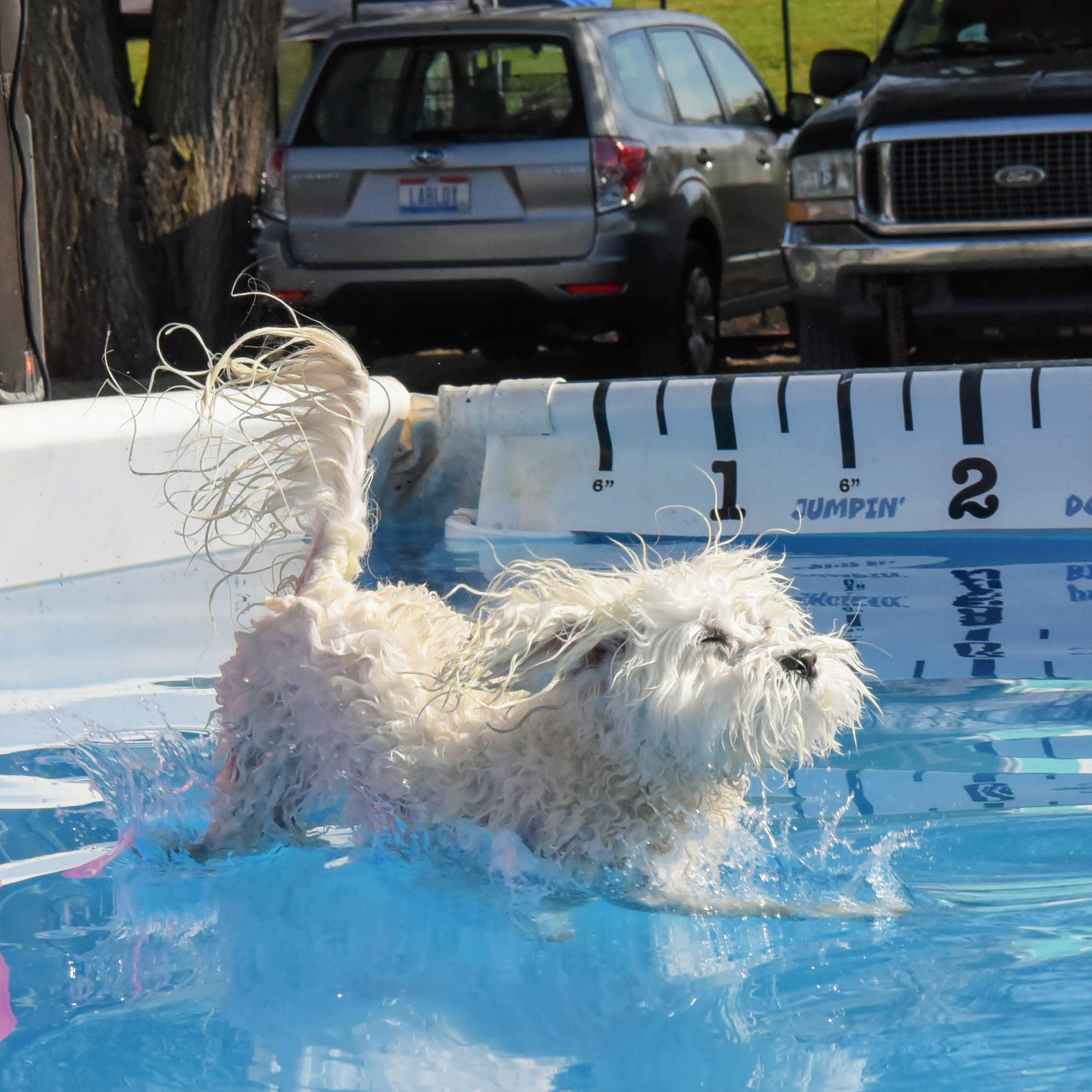  If you were wondering whether the water was still cold or not, this should answer your question! Out of the way!! Where’s the exit?!? Ball, what ball?!? 