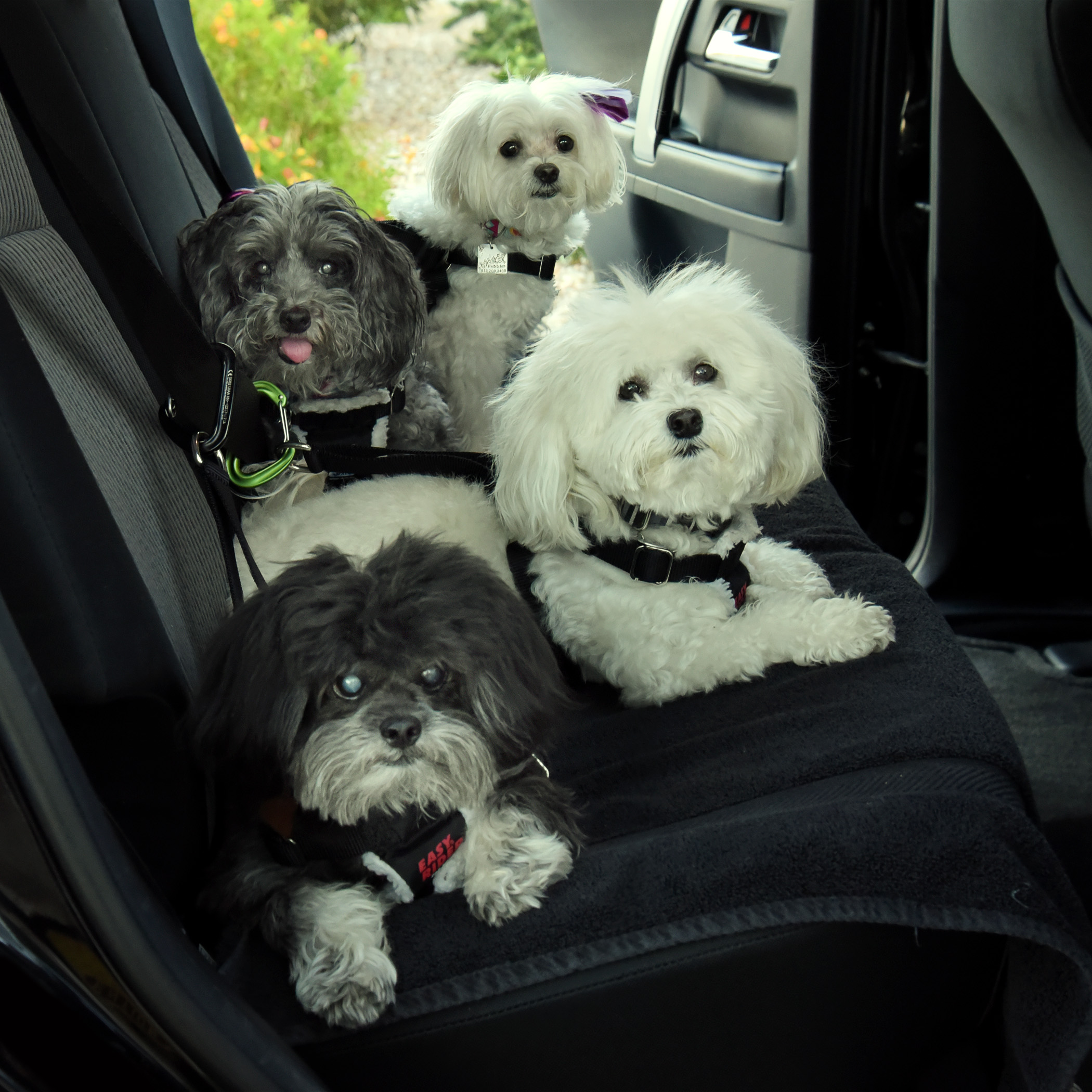  On the road, again, Mom?!? You &amp; Dad can drive. We’re beat…wake us when we get there! 