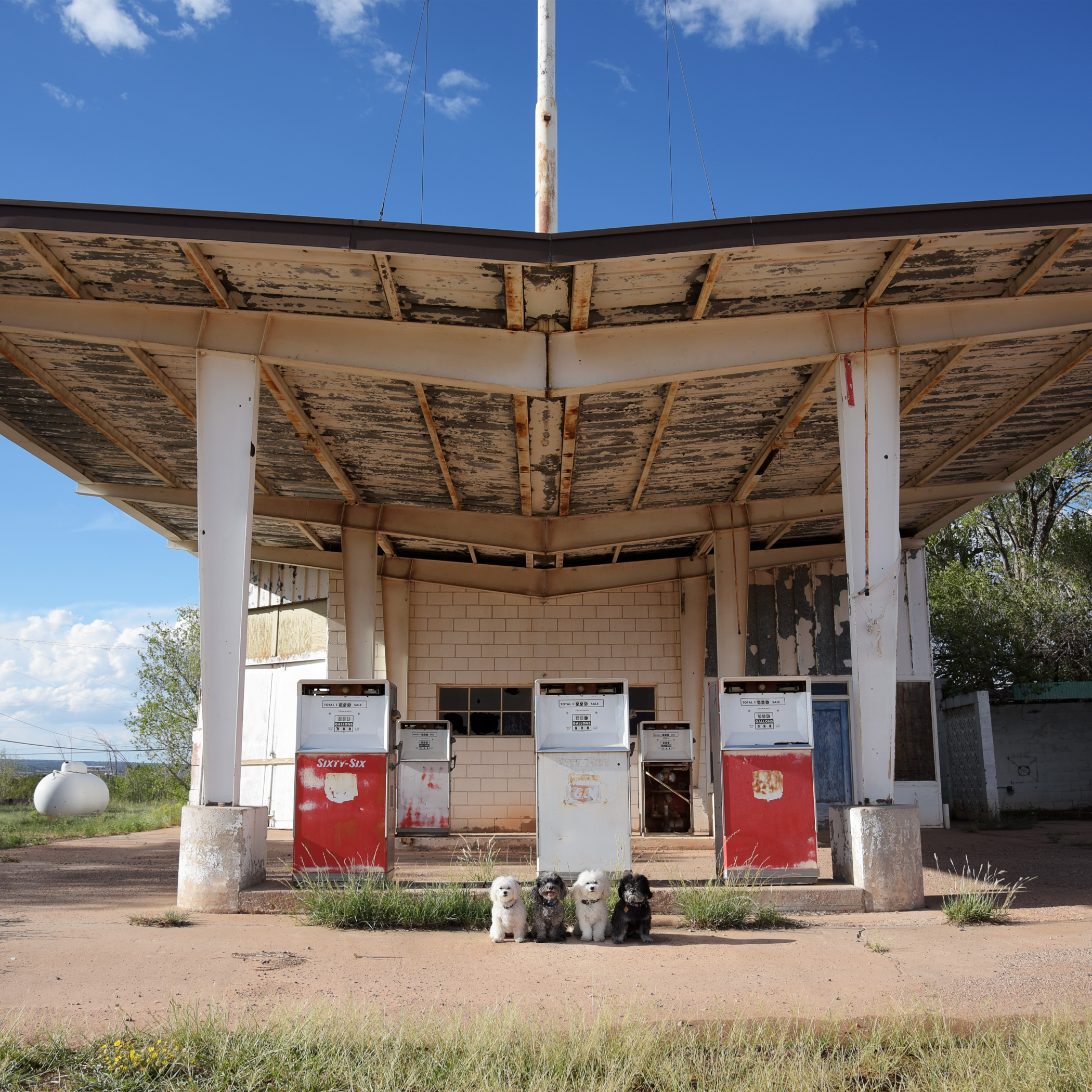  Santa Rosa, New Mexico on the Old Route 66…not sure Daddy’s going to have success filling up at this gas station, but it would be a cheap fill up! 