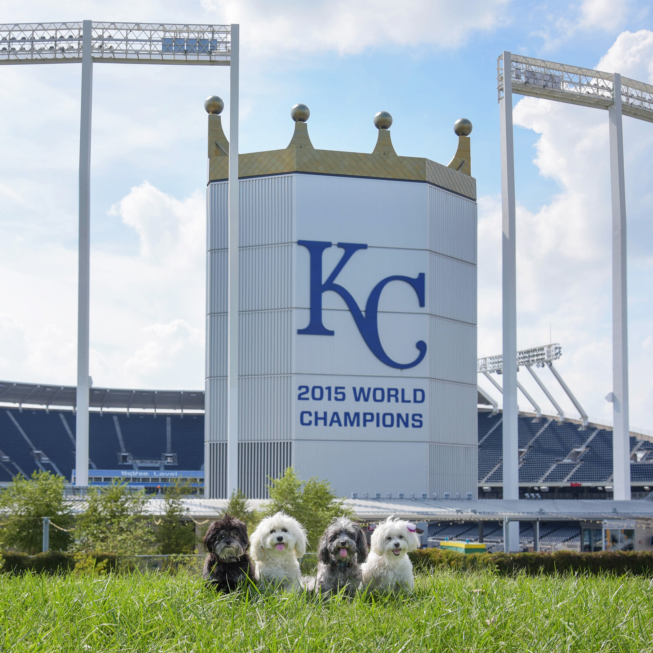  World Champs! We are so proud of the Royals and definitely had to make a stop at the K! The only bummer is that they wouldn’t let us on the grass…we just wanted to run the bases, we swear! 