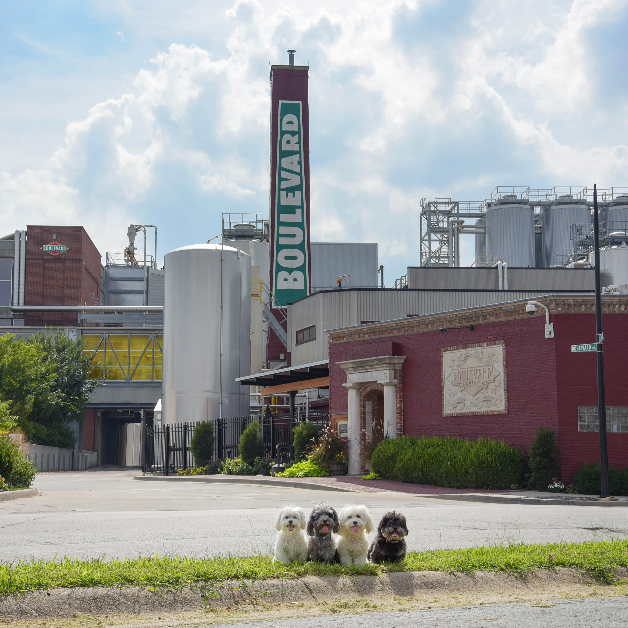  No day out on the town would be complete without a stop at the local brewery! Our favorite is the Unfiltered Wheat. 