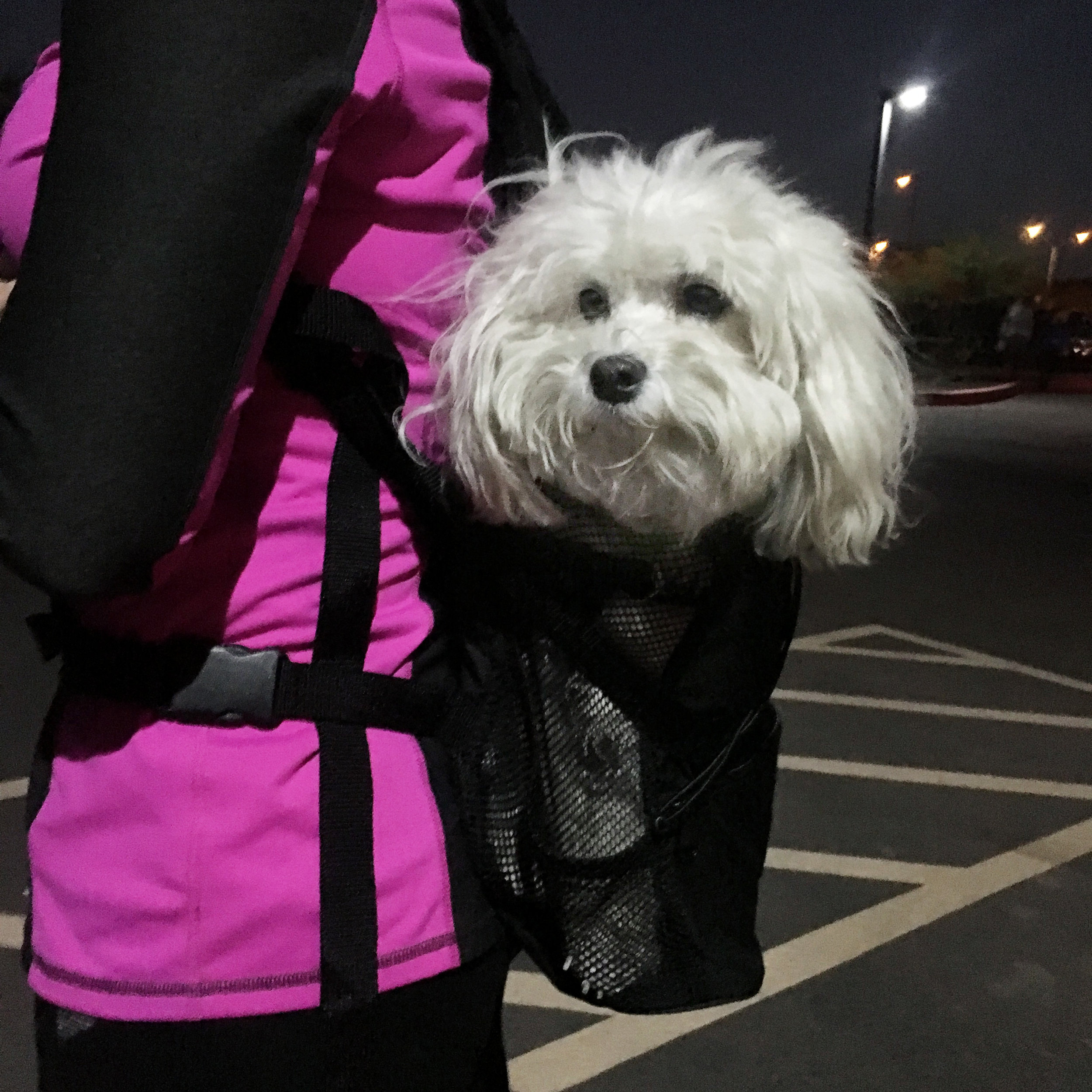  This was Mommy &amp; me at the start line…it was dark and chilly, but neither of those lasted long! 