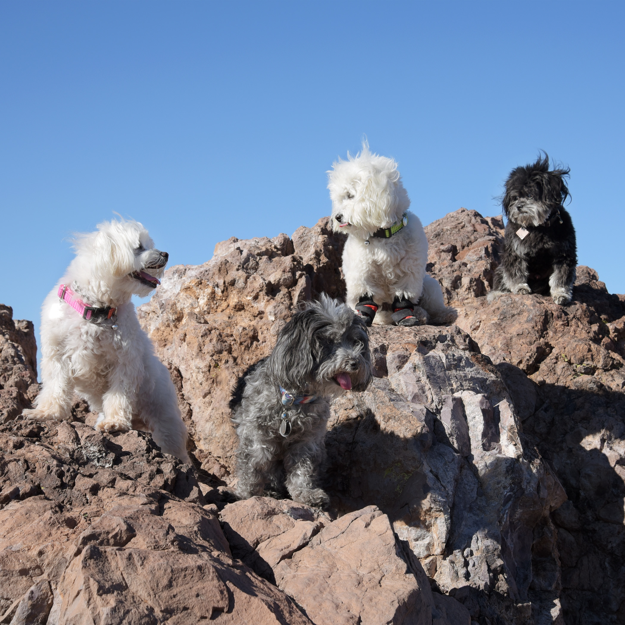  On the count of three, everybody look away from the camera!&nbsp; 