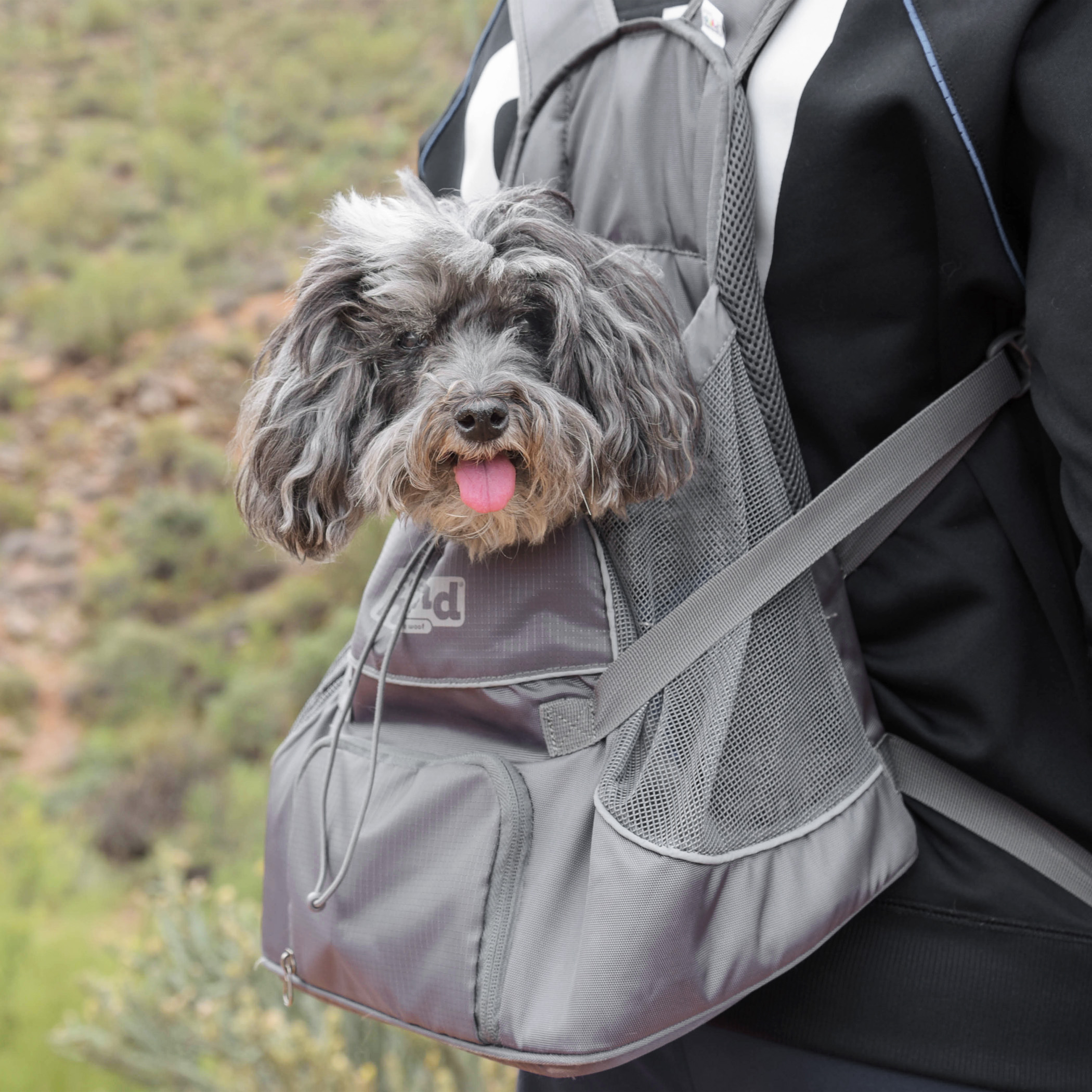  If you’ve ever wondered how Joey &amp; Benji go hiking, this is how. Joey rides with his Daddy (so he can keep an eye on Mom!), and Benji rides with Mom. The backpacks are from  Outward Hound &nbsp;and are made just for pups. They’re easy to load in