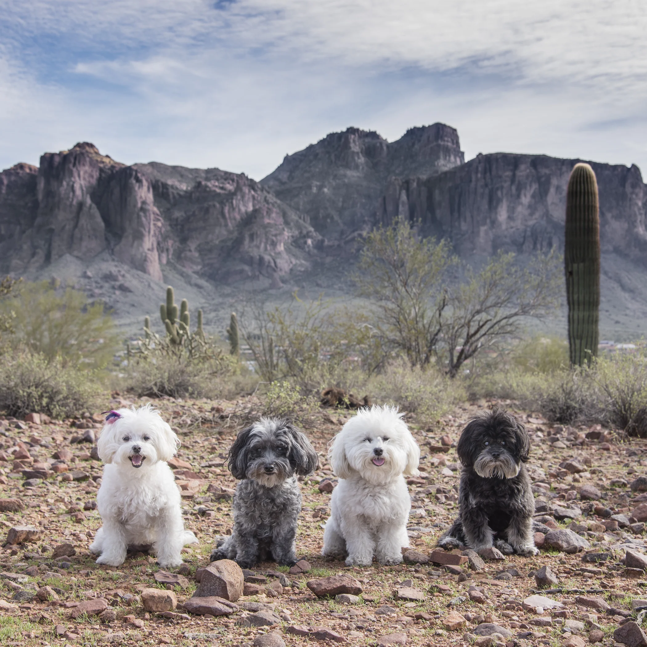 #SuperstitionMountains