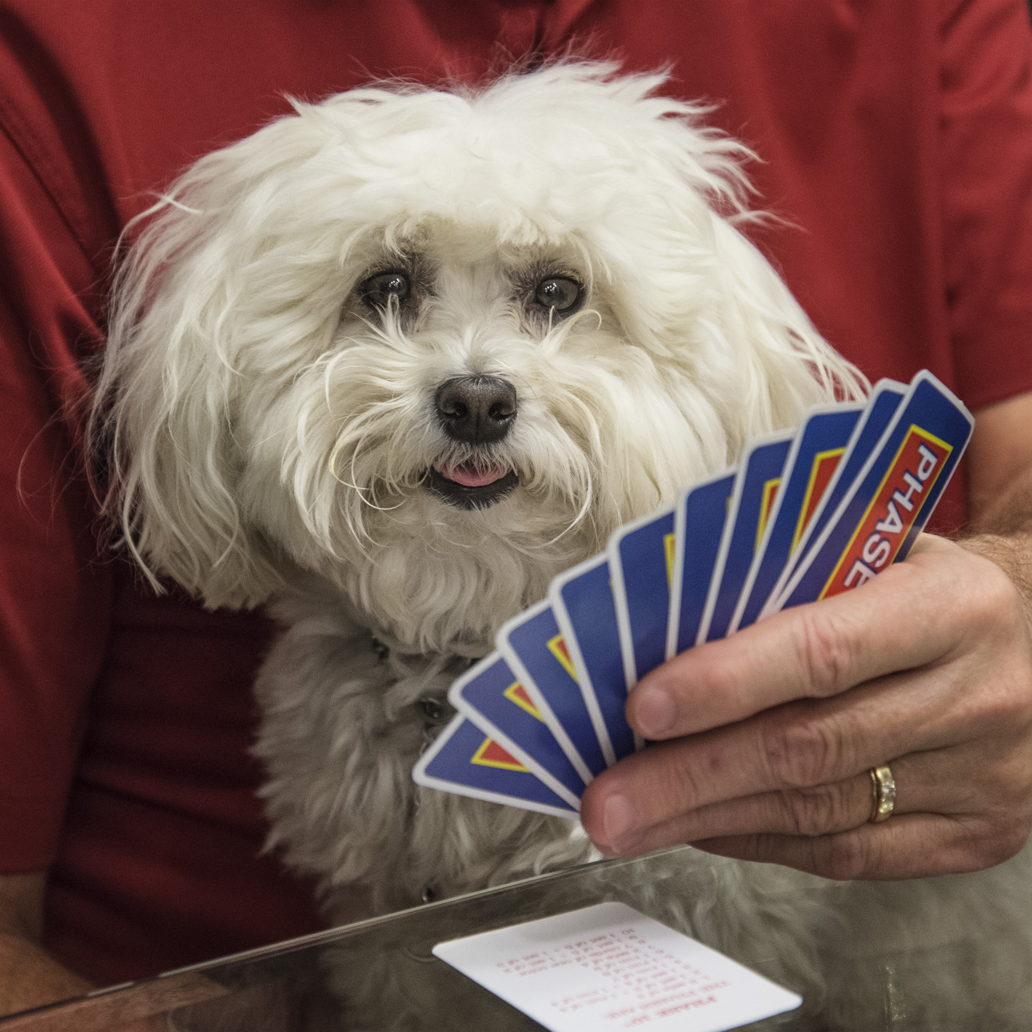  Okay, Grandpa, I’m really good at cards. Follow my lead and there’s no way you can lose. 
