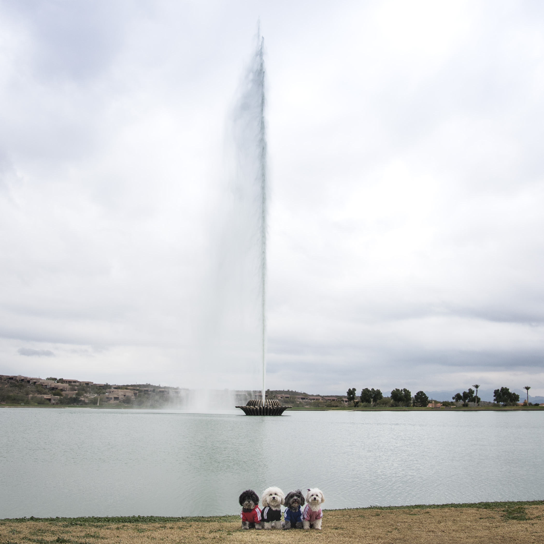  After the race, we headed to Fountain Hills to check out the art scene, but first we had to make a stop at the world’s fourth tallest fountain. We look teeny tiny and we weren’t anywhere close to the fountain! 