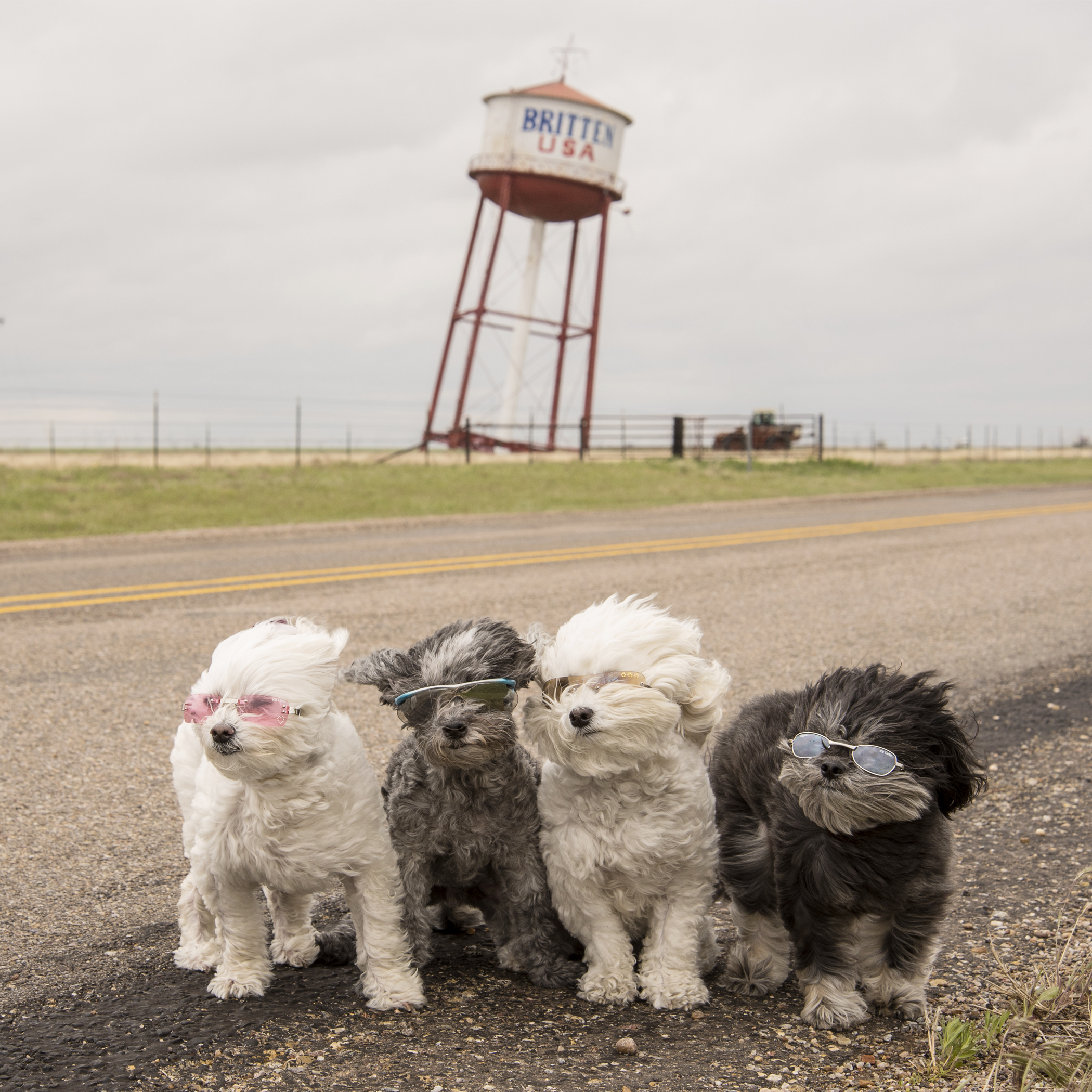  Mom’s weather curse is currently following us home! 40-50 mile an hour winds are pushing against us as we travel across the state of Texas. The temperatures are in the very low 40s and it continues to rain off and on. When the water tower is about t