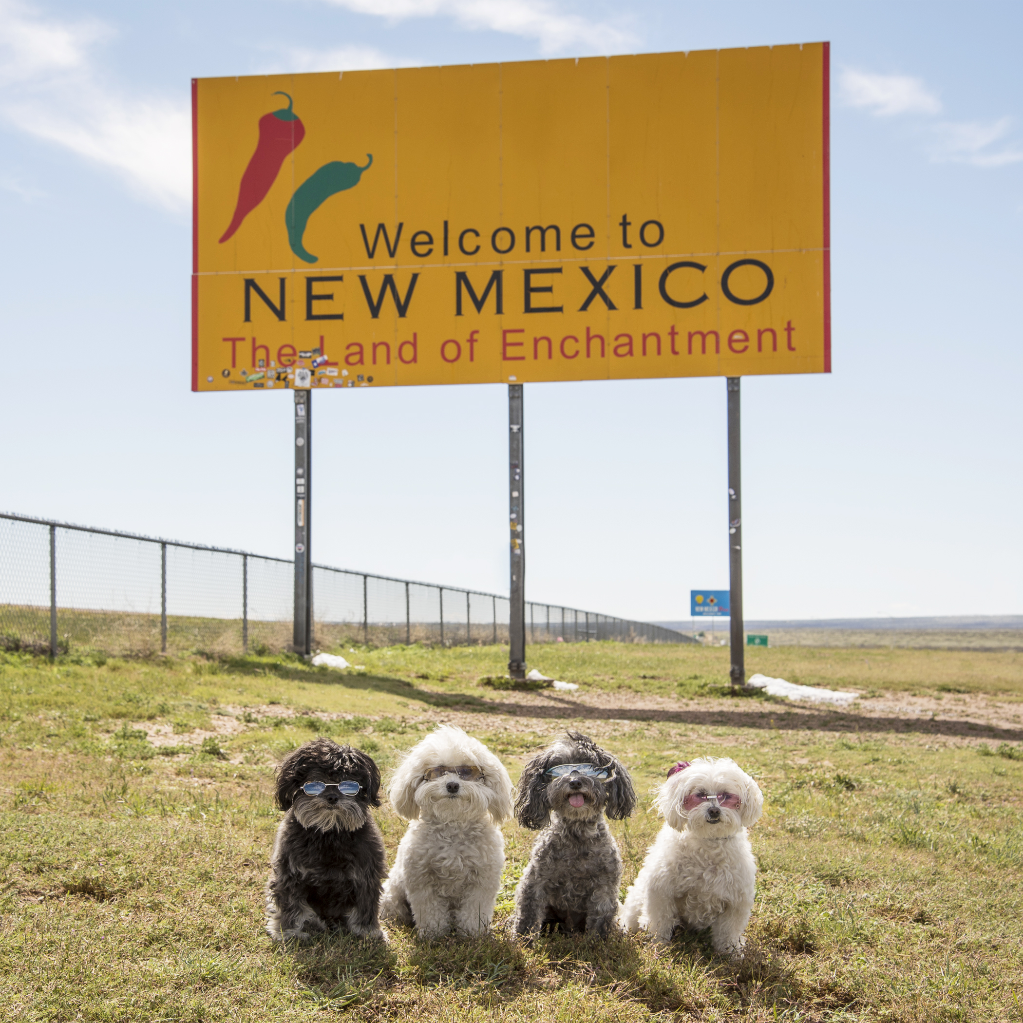  New Mexico…we have never been so happy to see you! Sun, blue skies, temperatures in the 60s, less wind, no snow, no rain…the desert is getting closer and closer! This roadie is looking up from here! 