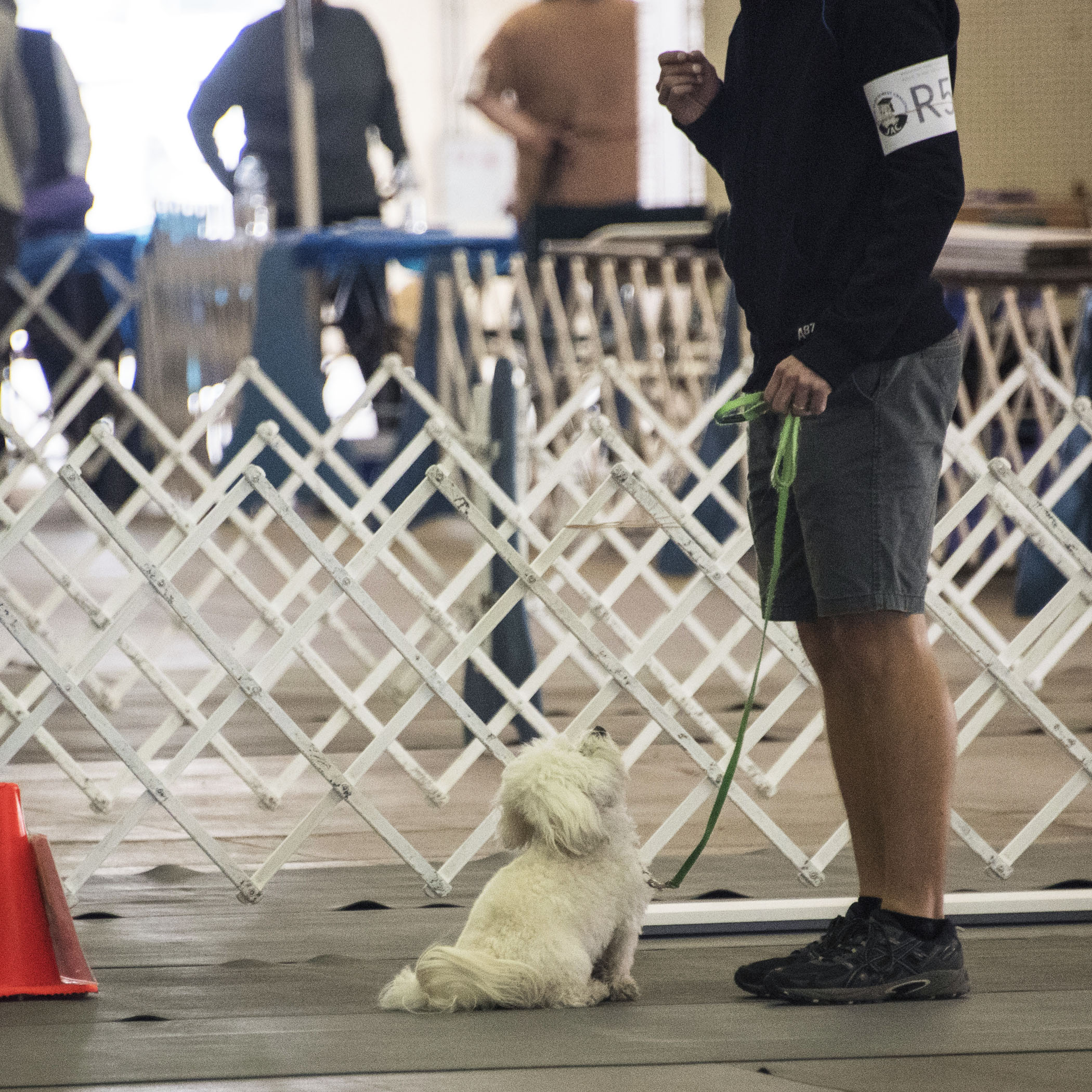  And, back to Rally we go! There are no photos of Pebbles. We did a test to see if it would make a difference. Pebbles did not know that Mommy was at the event. She and Daddy went separately and did their run first. It didn’t make a difference. She w