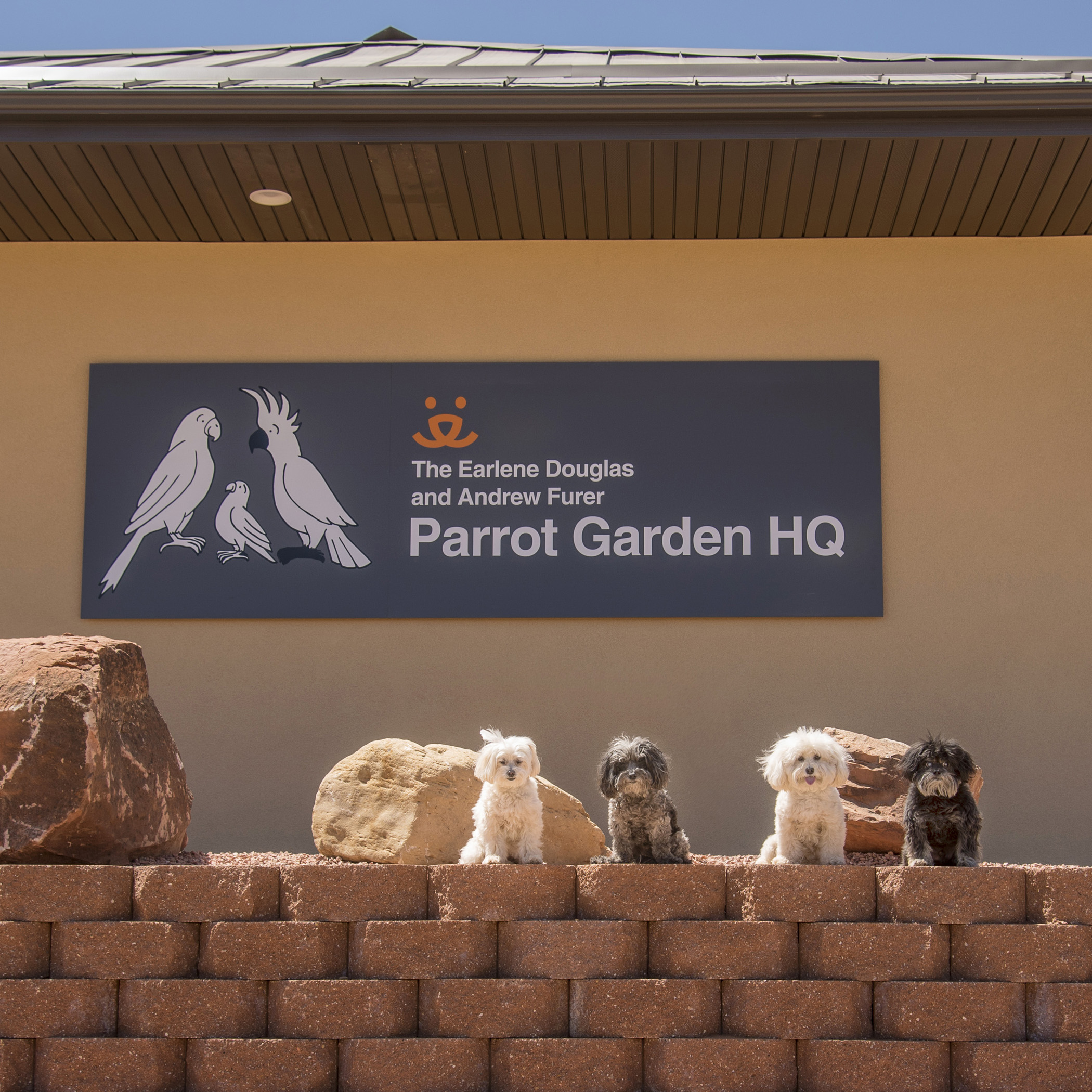  Up next for Mommy &amp; Daddy was Parrot Garden. It reminded Mommy of their trip to Australia, being surrounded by so many beautiful Feathered Friends! Birds lose their homes just like other pets. In fact, because parrots live such a long time, they