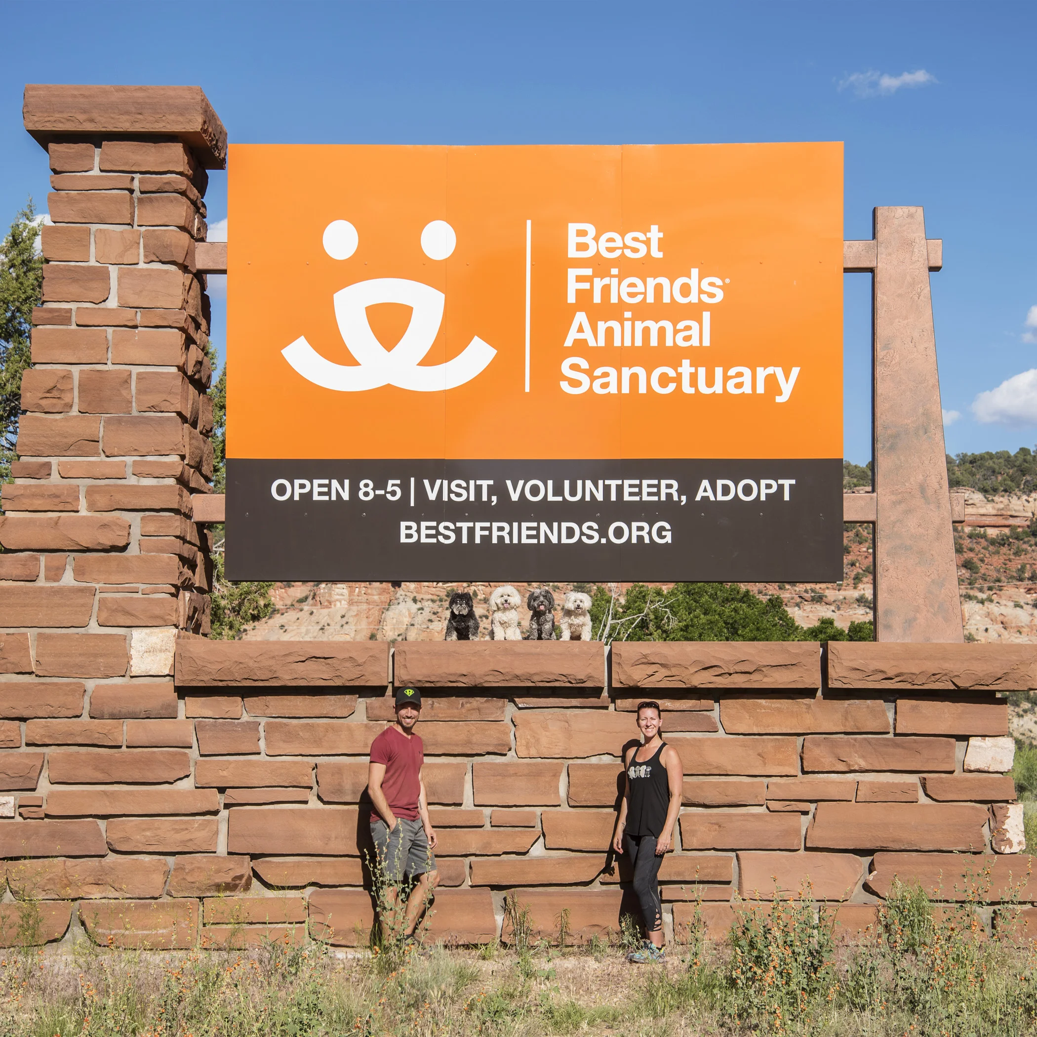 #BestFriendsAnimalSanctuary