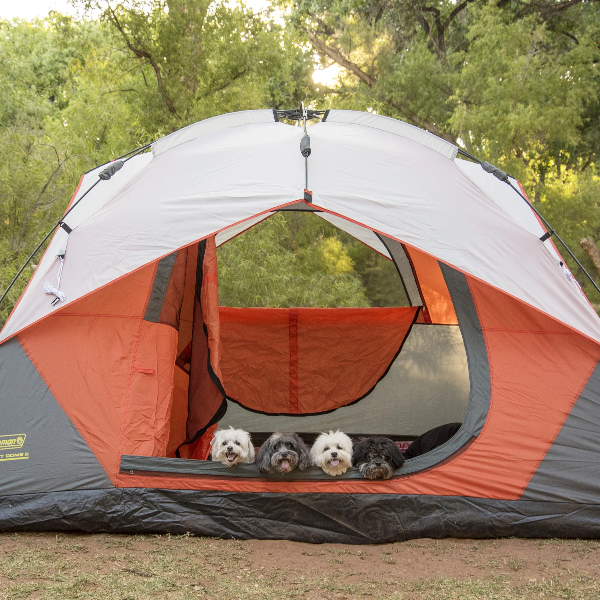 #CampingInSedona