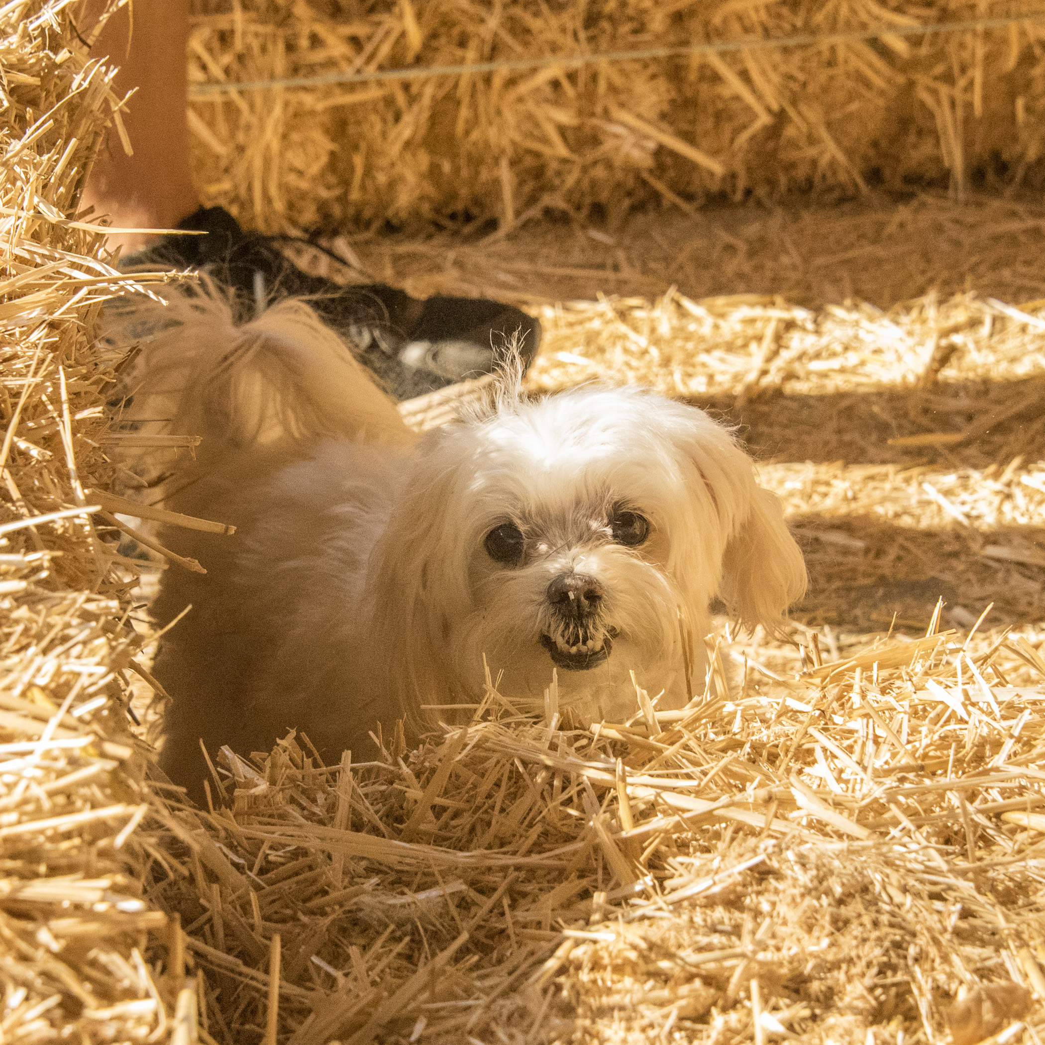  Hey, Mom! Are you and your shutter speed keeping up with me and my lightning fast moves? 