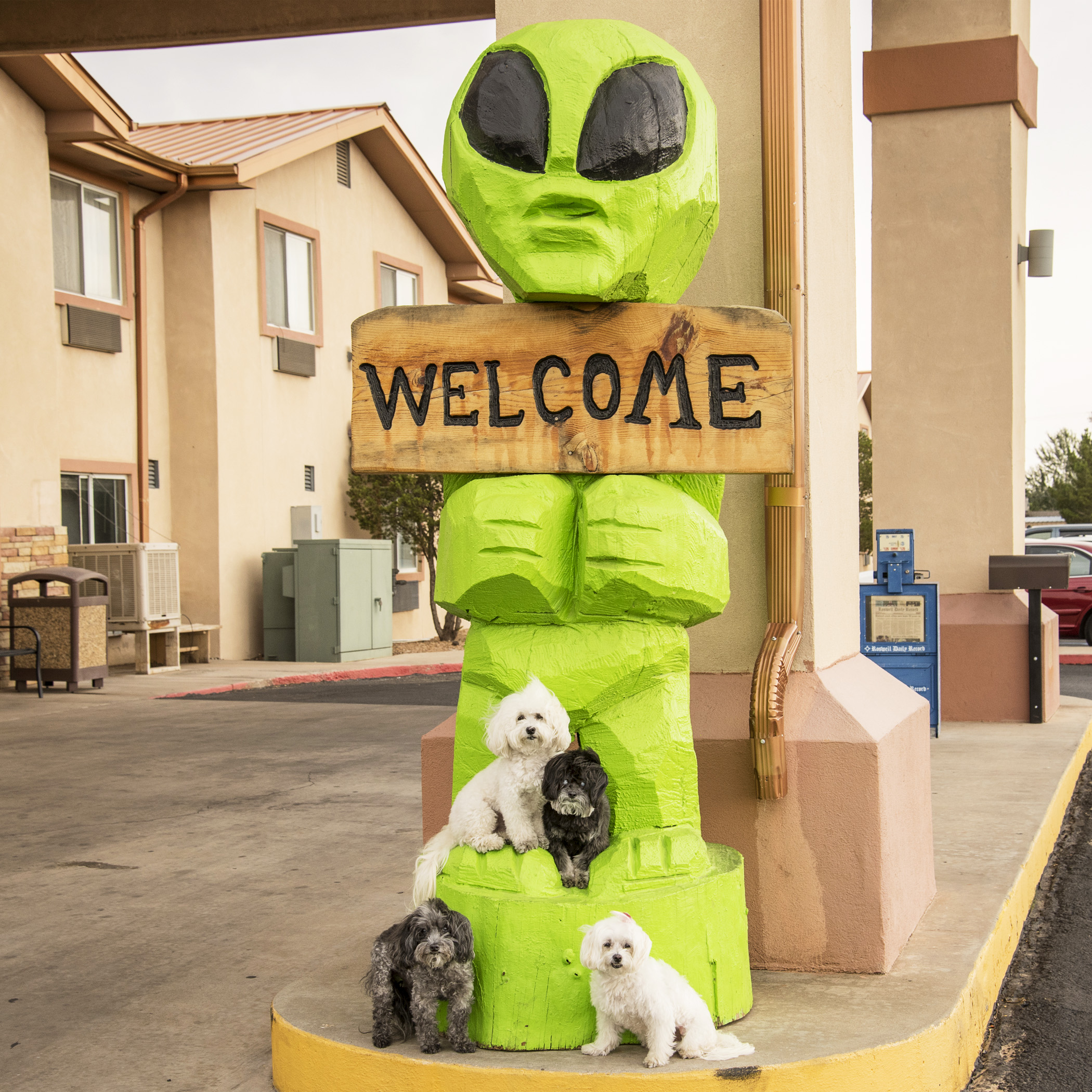  Nothing like being welcomed by the locals in Roswell, NM! 