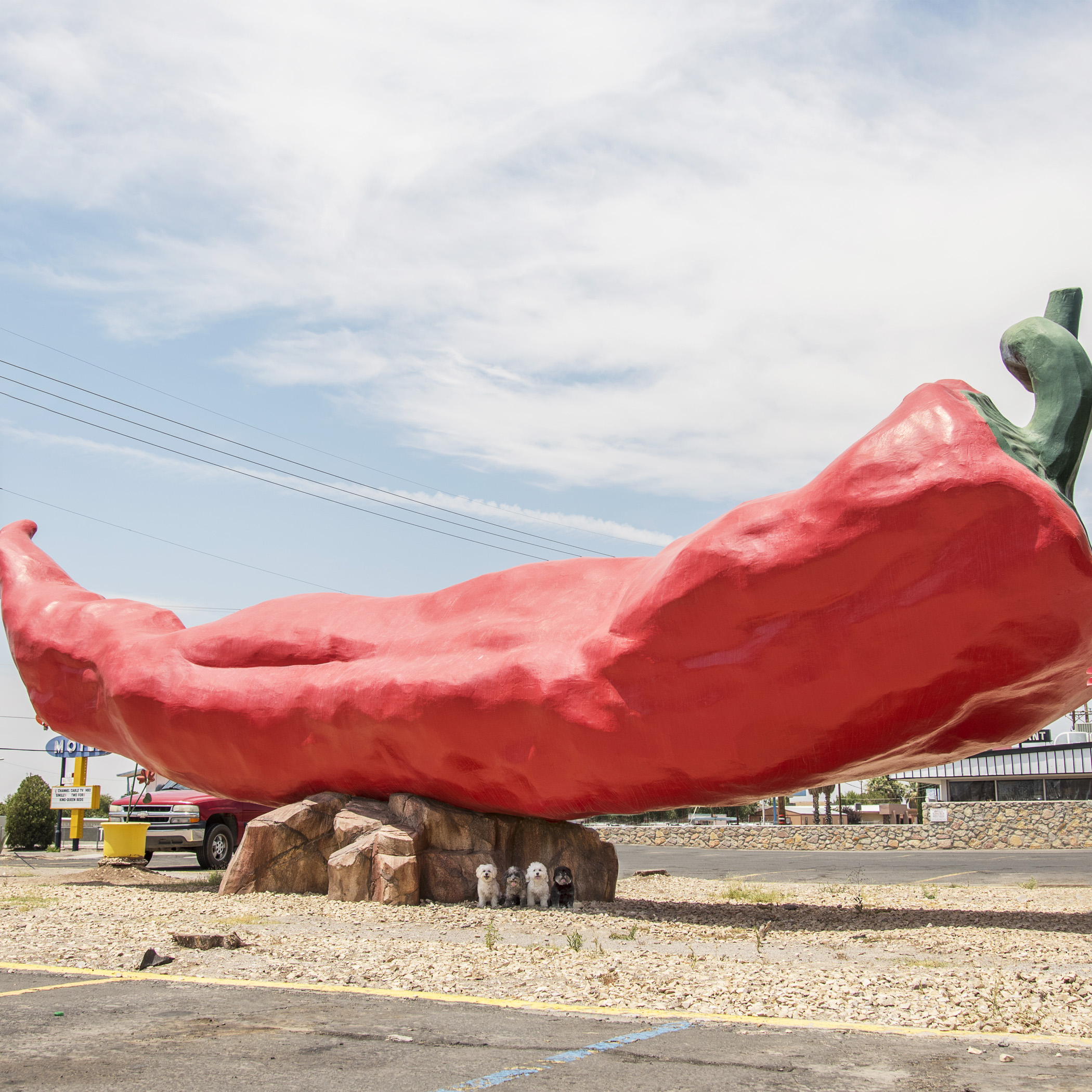  When Road Tripping across the desert Southwest, what better place to take shelter from the heat of the sun, then under the Big Chile! 