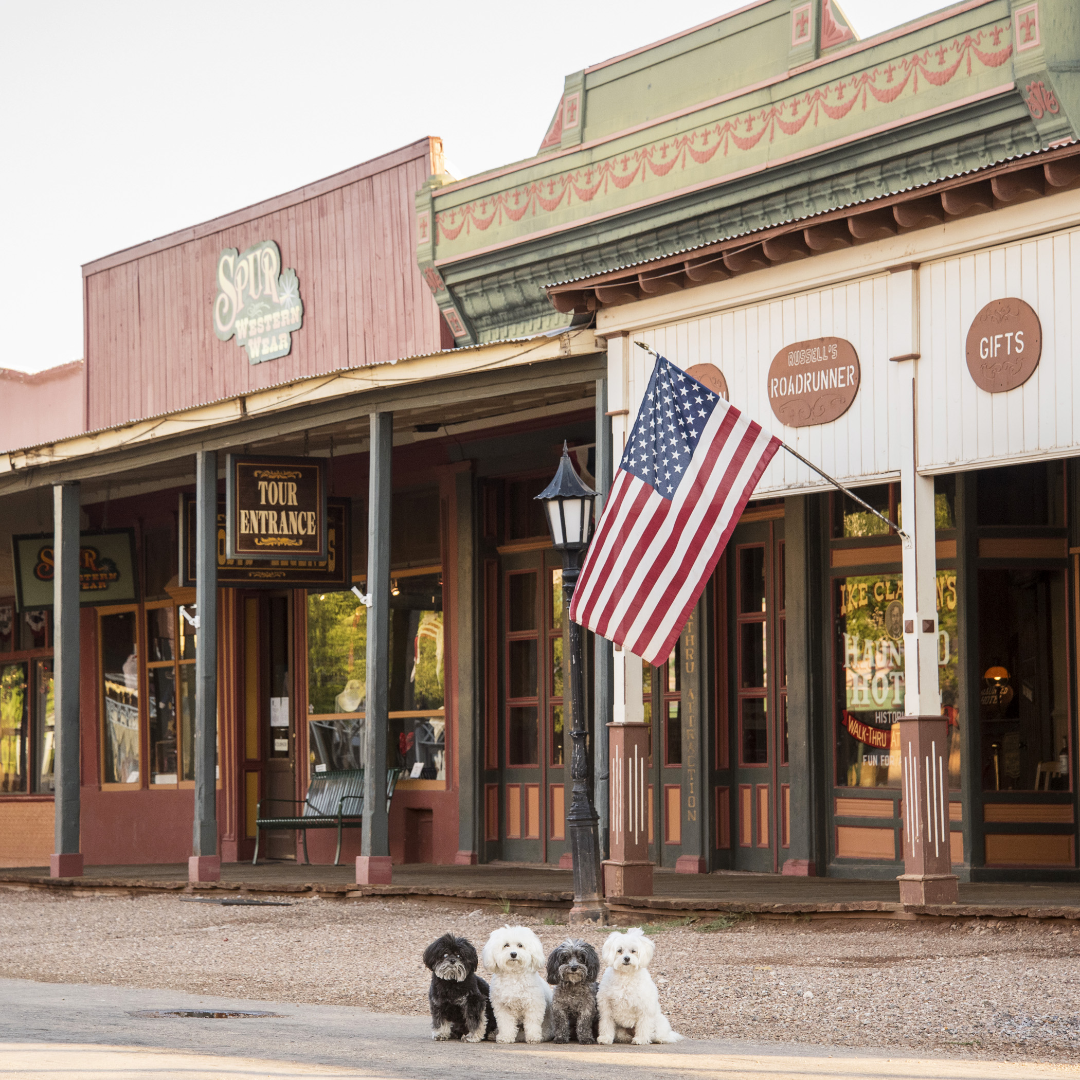  We left the extra-terrestrials behind, and strolled into Tombstone, AZ. Everyone scattered and hid…it was so quiet you could hear the clank of our spurs. 