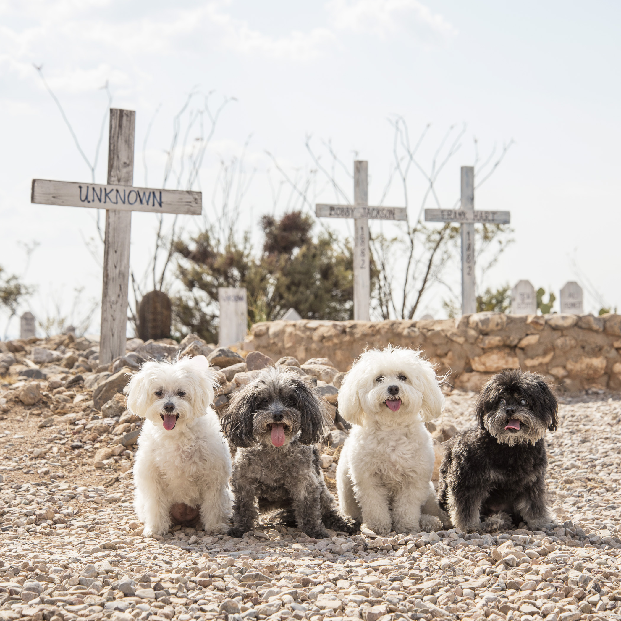  Despite what the locals may believe, we don’t like to leave any bodies behind! We made it out of there, clean and clear. No new plots in the Boothill Graveyard. 