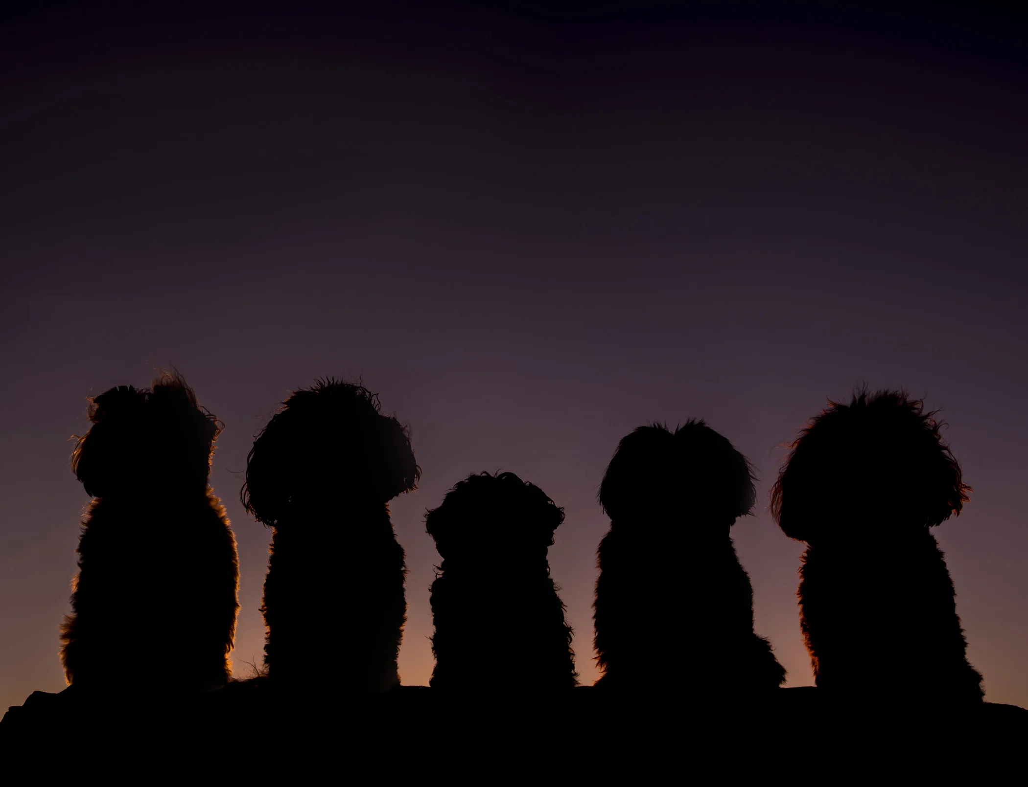 Can you tell who's who?