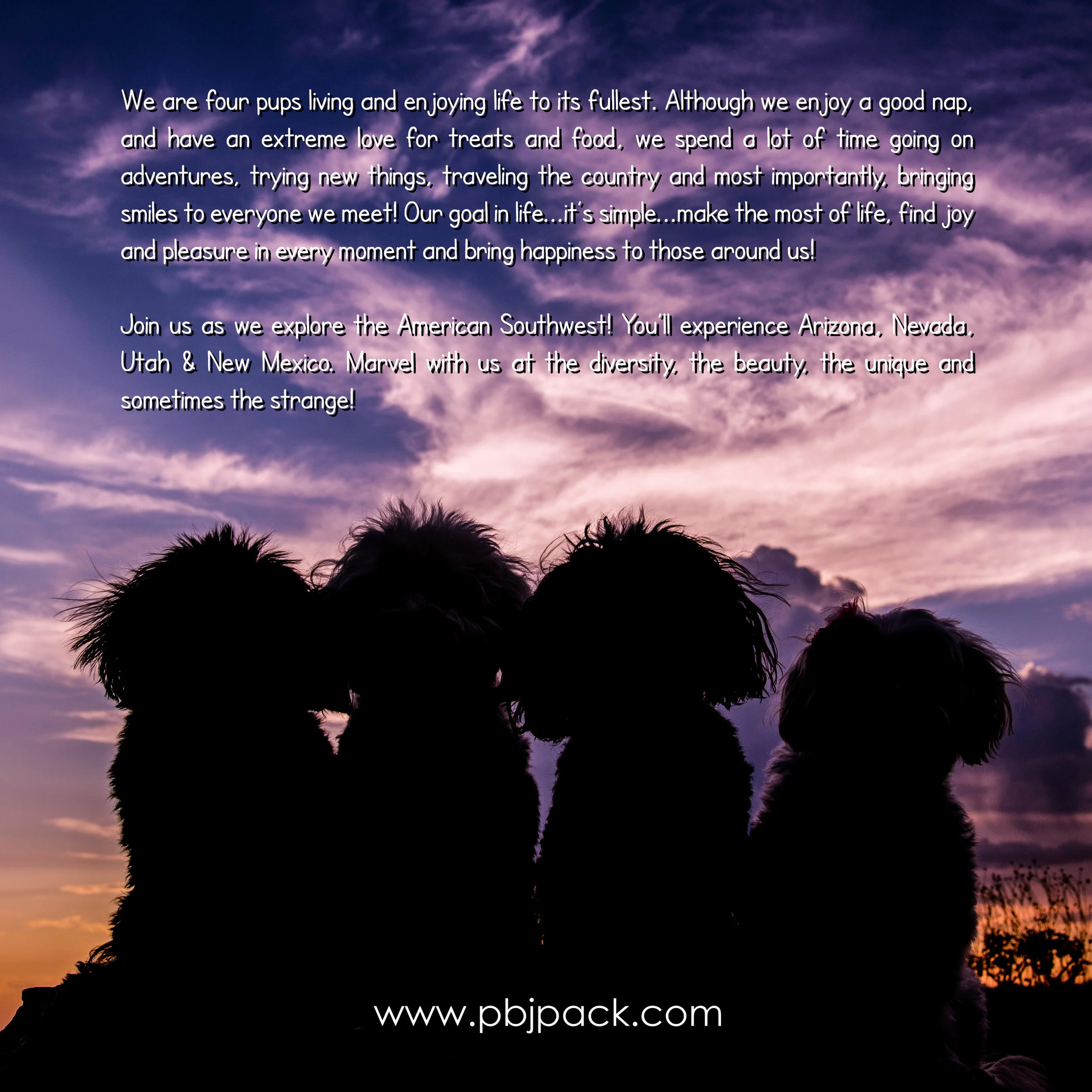 BackCover.jpg