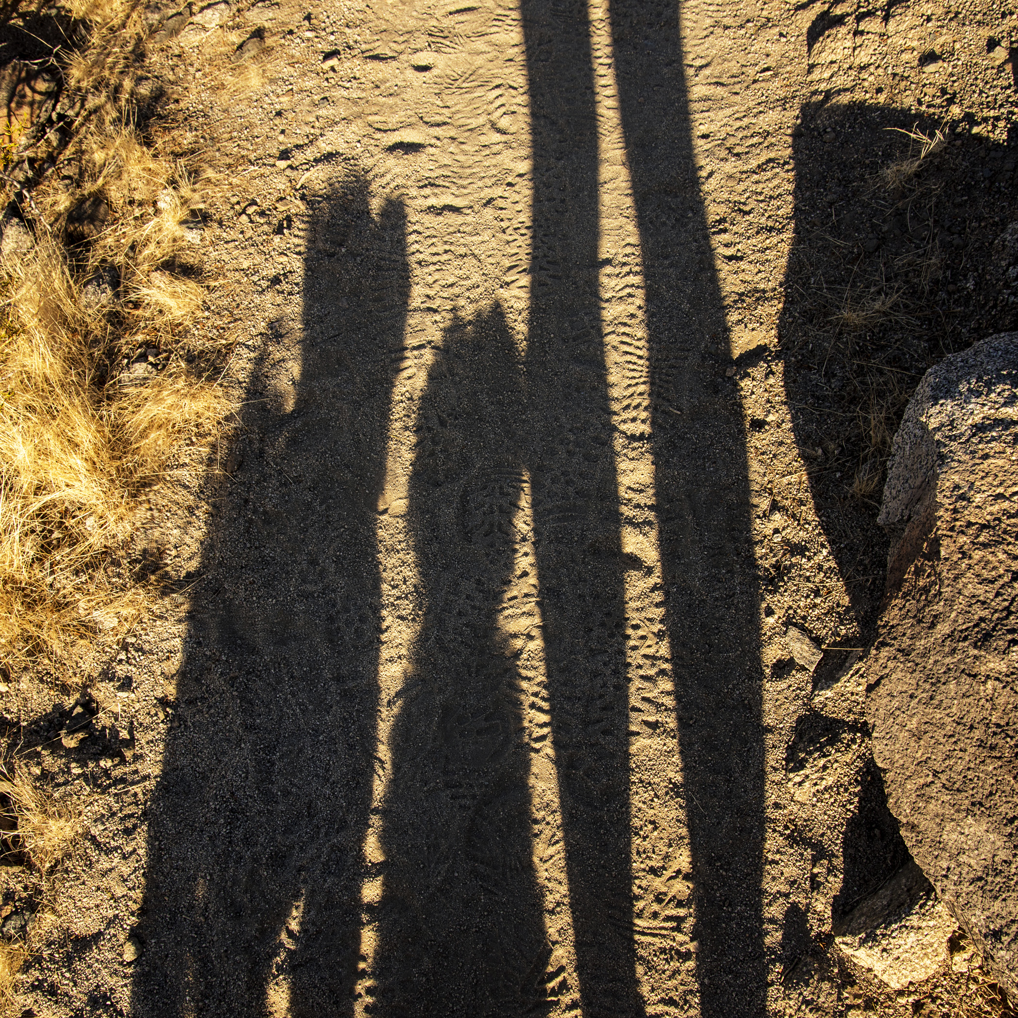  Hey, Mom, you ready to hike back down the mountain? We’ve still got a full day ahead of us! 