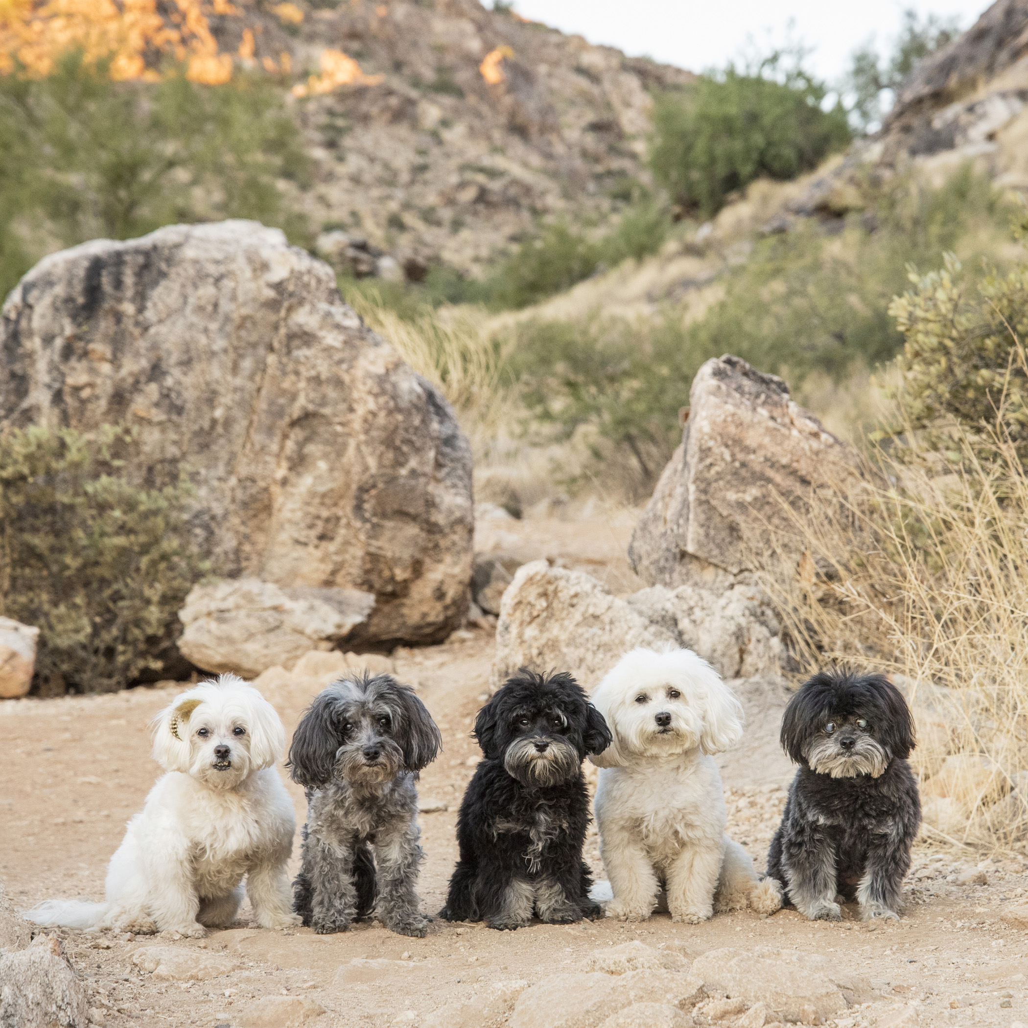  We can finally see the trail and you’re making us stop for a photo op? 