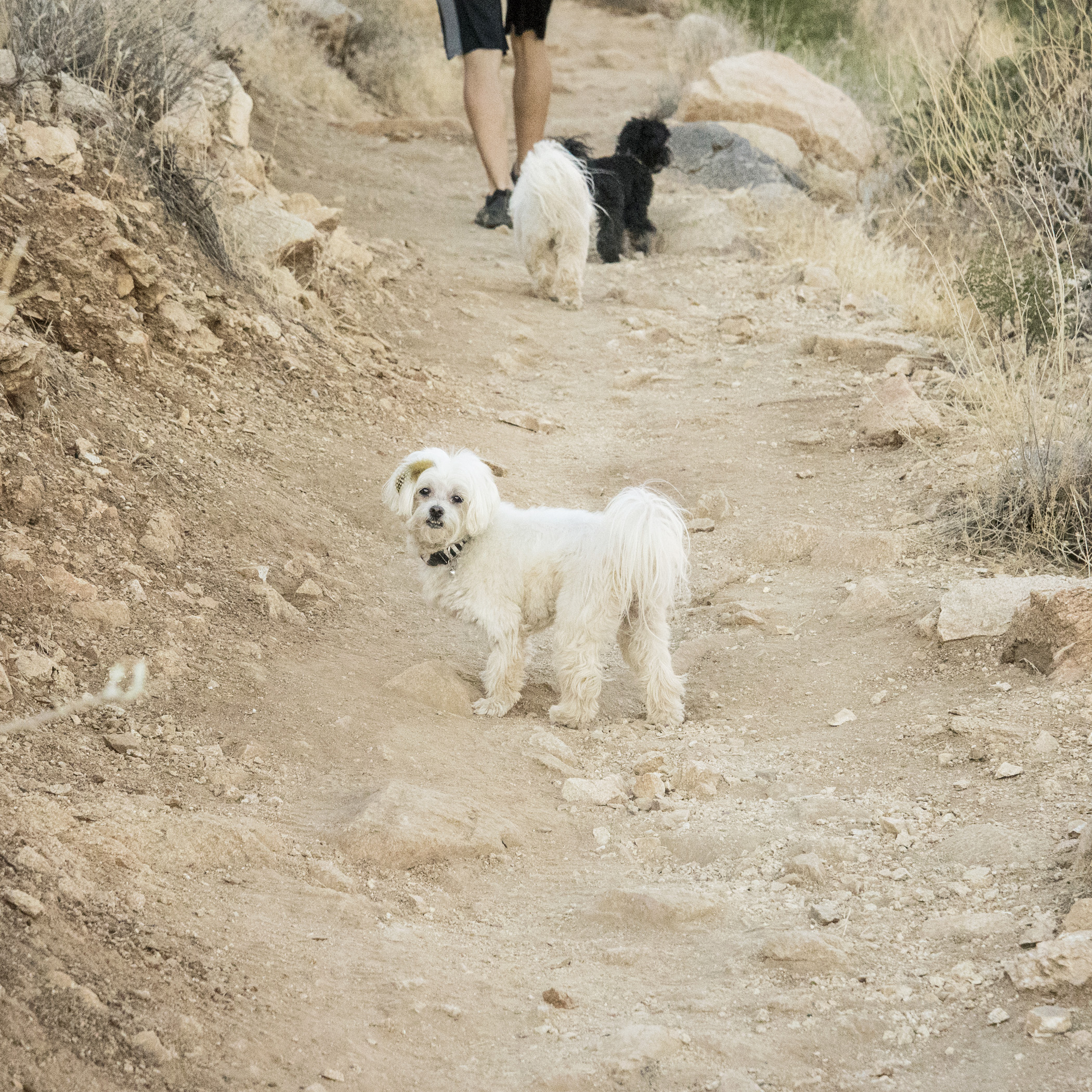  One of us needs to learn to take a chill pill while hiking! 