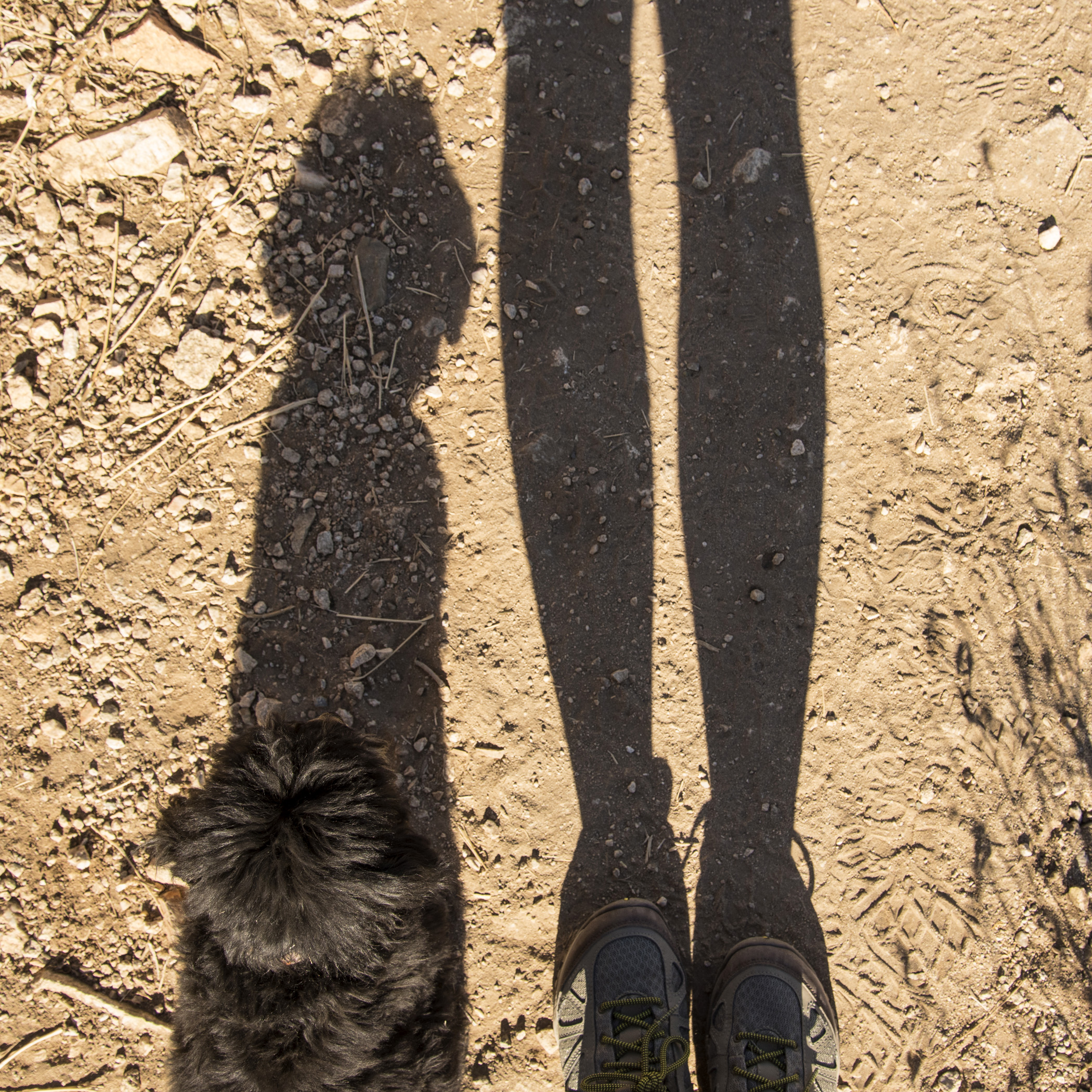  Yes, I may get a little wild and crazy when Mom calls me to come for the camera, but really I’m an awesome hiker. Mommy never asks me to heel, but because of all the practice and training we’ve done, the majority of the time I am stuck like glue to 