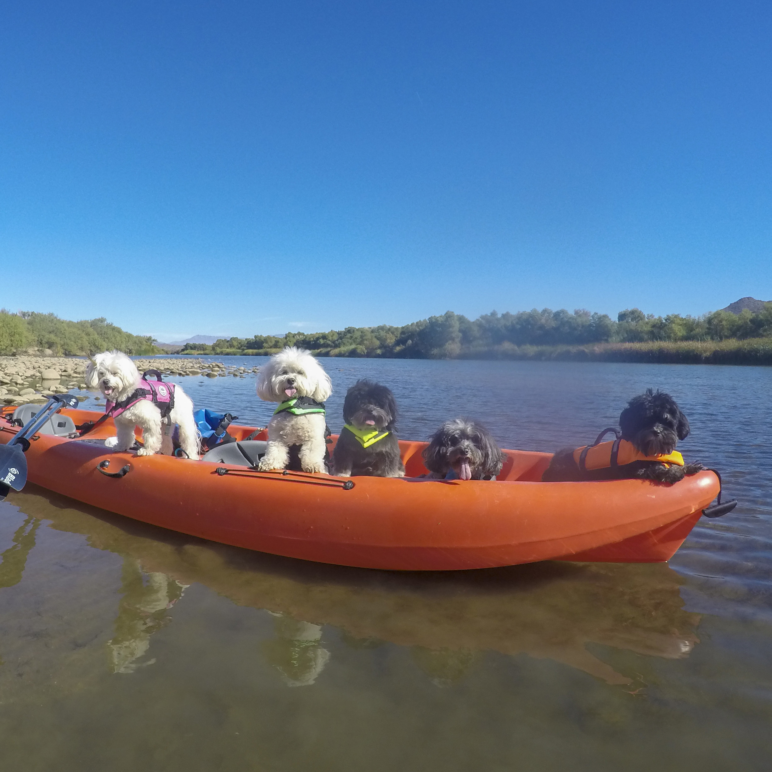  Oh yeah, we definitely conquered the Salt River! 