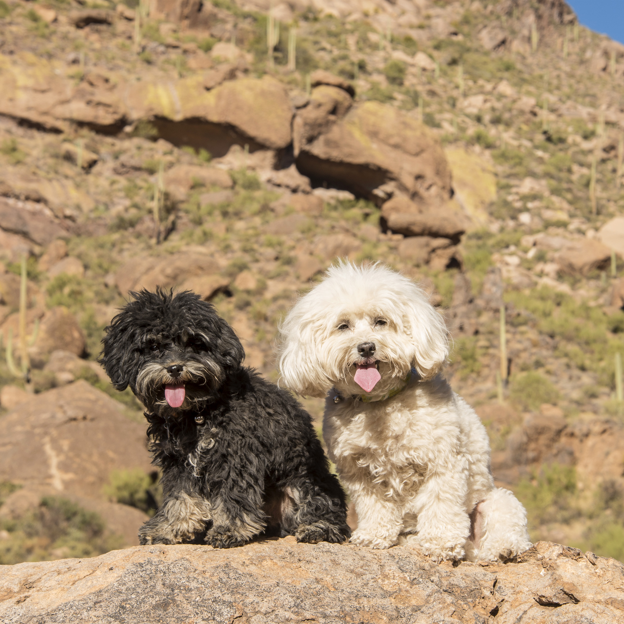  See that dark hole above our heads? That’s the cave. It was a crazy steep, rock mountain climb to get up there…but going down was even more treacherous, Mommy and Daddy landed on their booties more than once! 