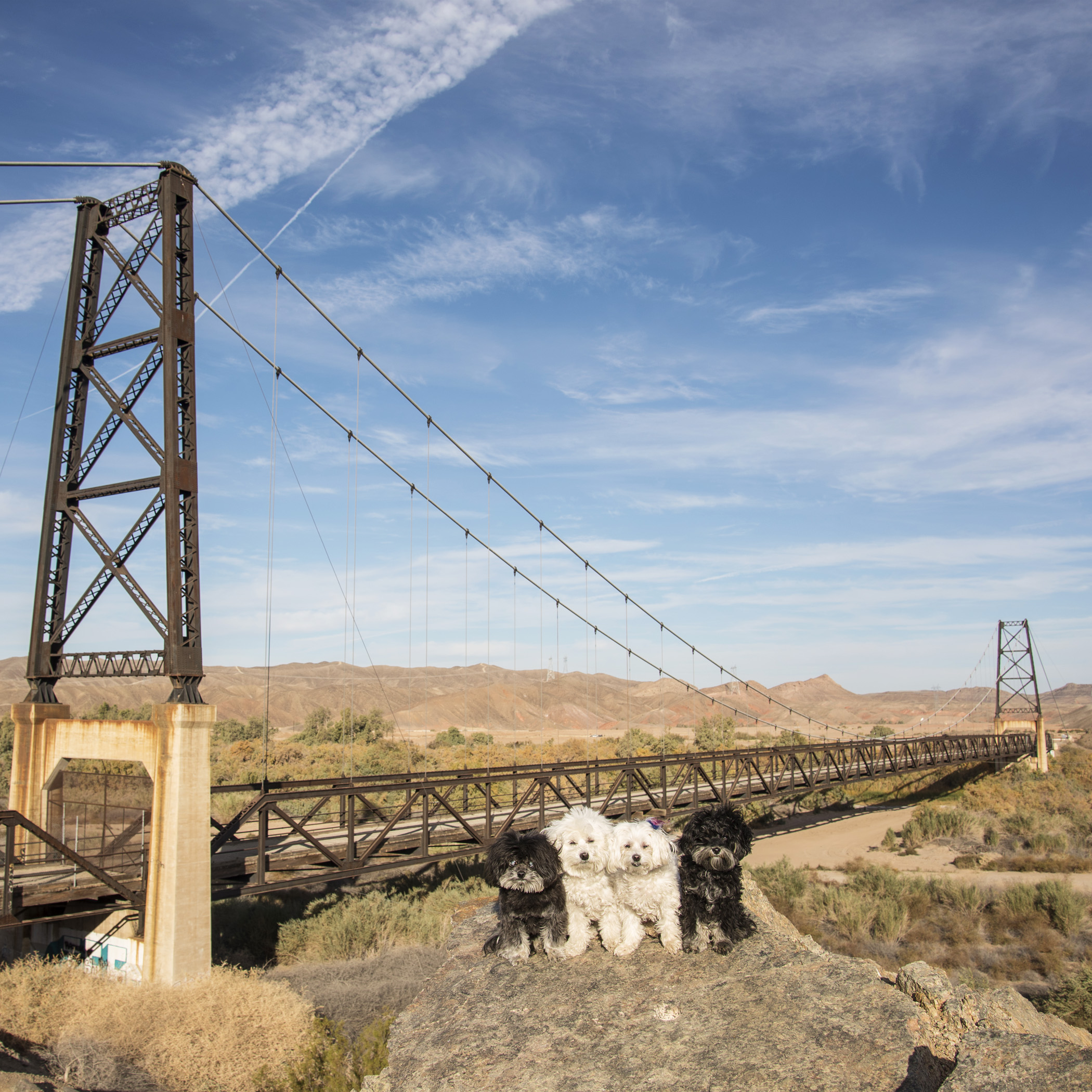  Then, of course, there’s always the ridiculous stops that Mom makes us do. Like this one,&nbsp;The Bridge to Nowhere, also in Yuma, AZ. This is an amazing bridge and it literally goes nowhere! 