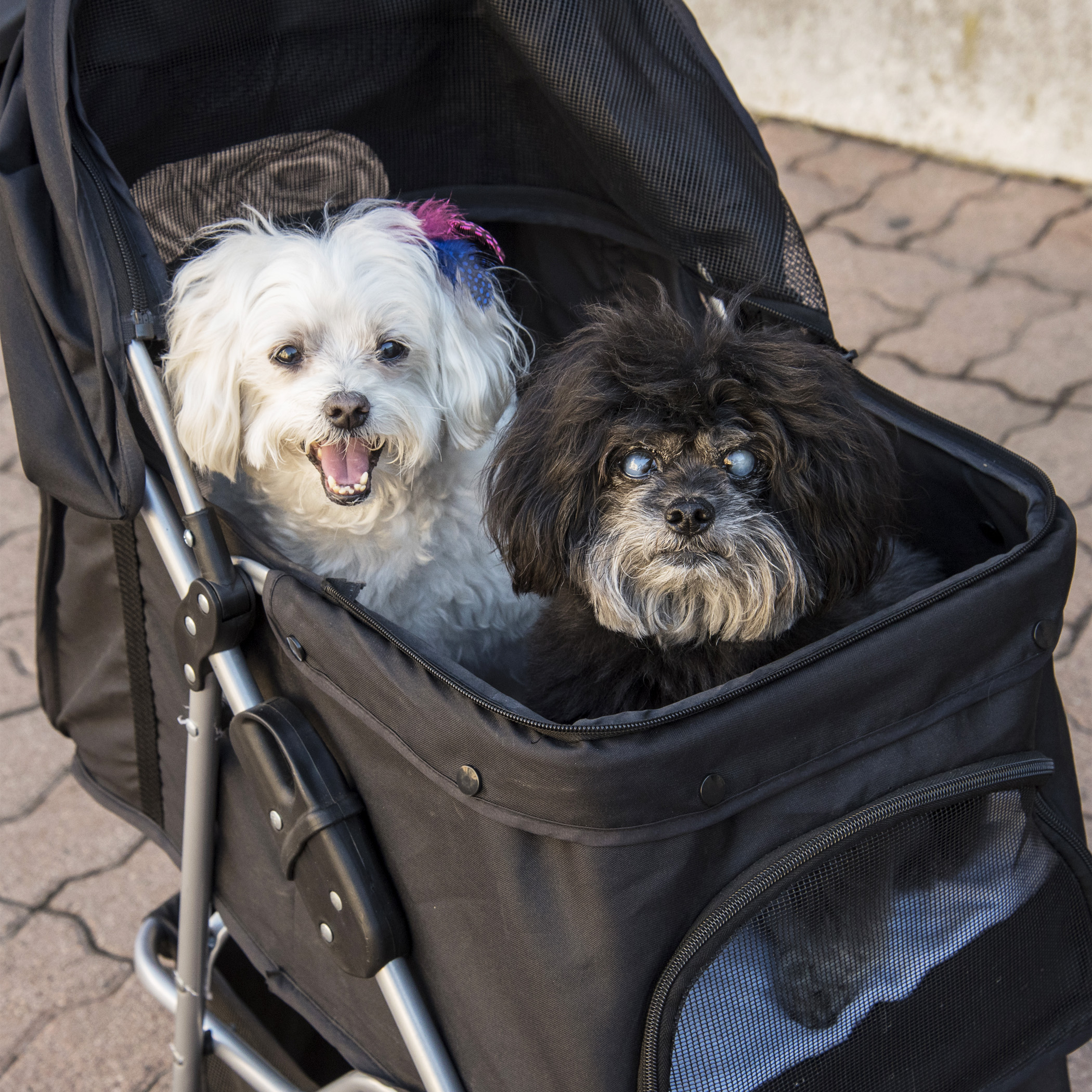  Some of us strolled, literally! 