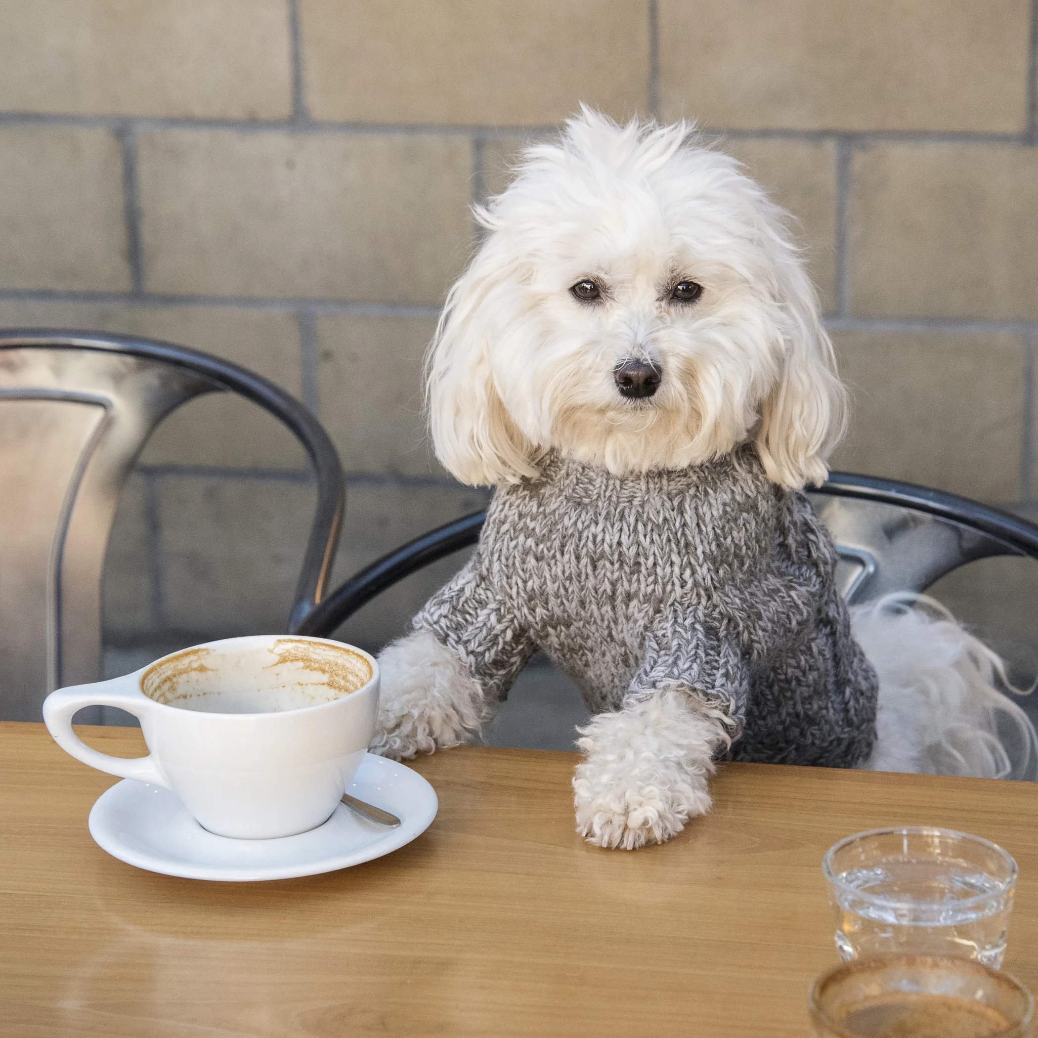  It’s a sad moment when your coffee cup is empty…not only are you out of coffee, but you know that means your time in San Diego has come to an end and it’s time to hit the road. 