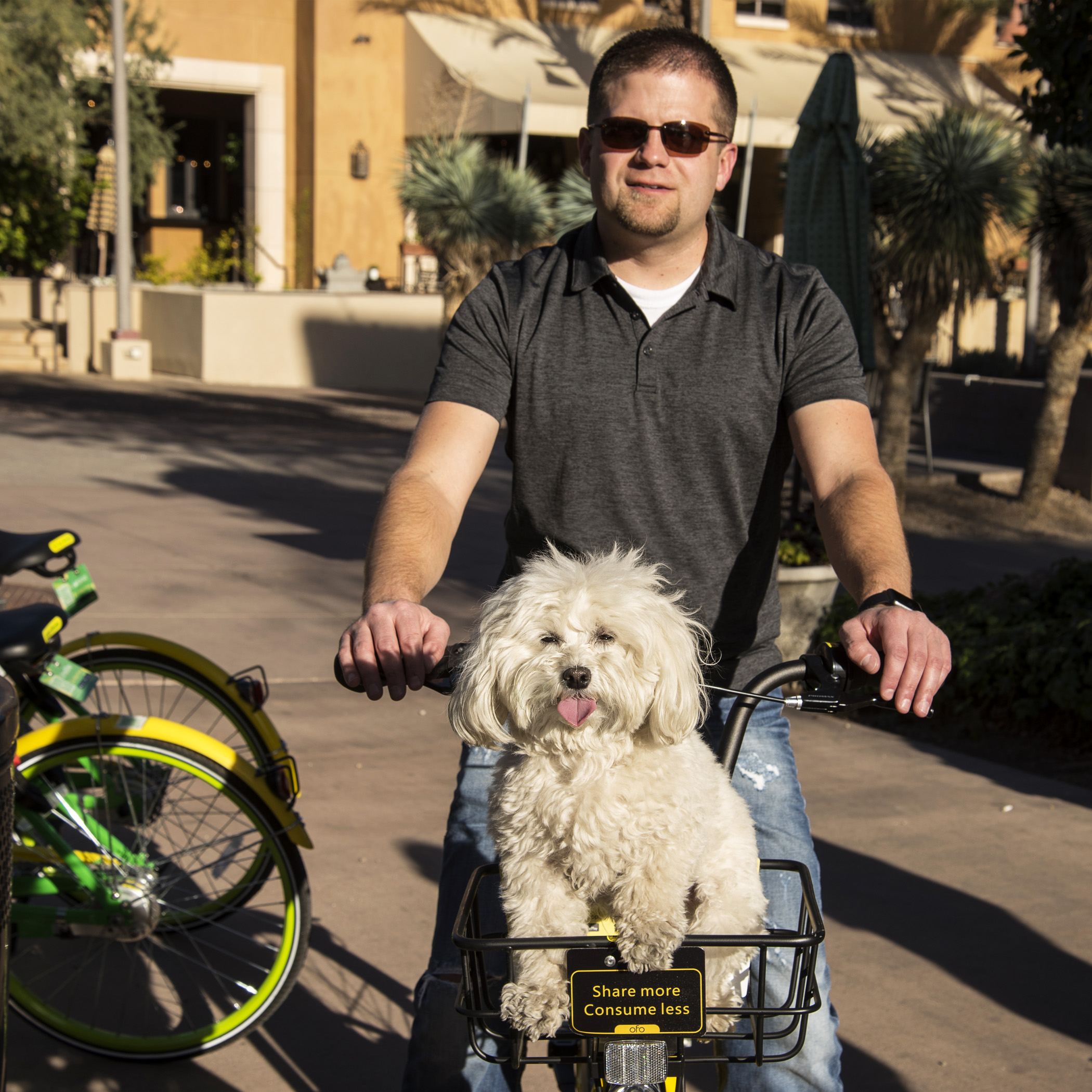  After the art show, we spent some time exploring around Downtown  Scottsdale . They had these bikes all over that you could rent and ride. Too bad the baskets weren’t more puppy friendly…it would have been a much faster way to get around.&nbsp; 