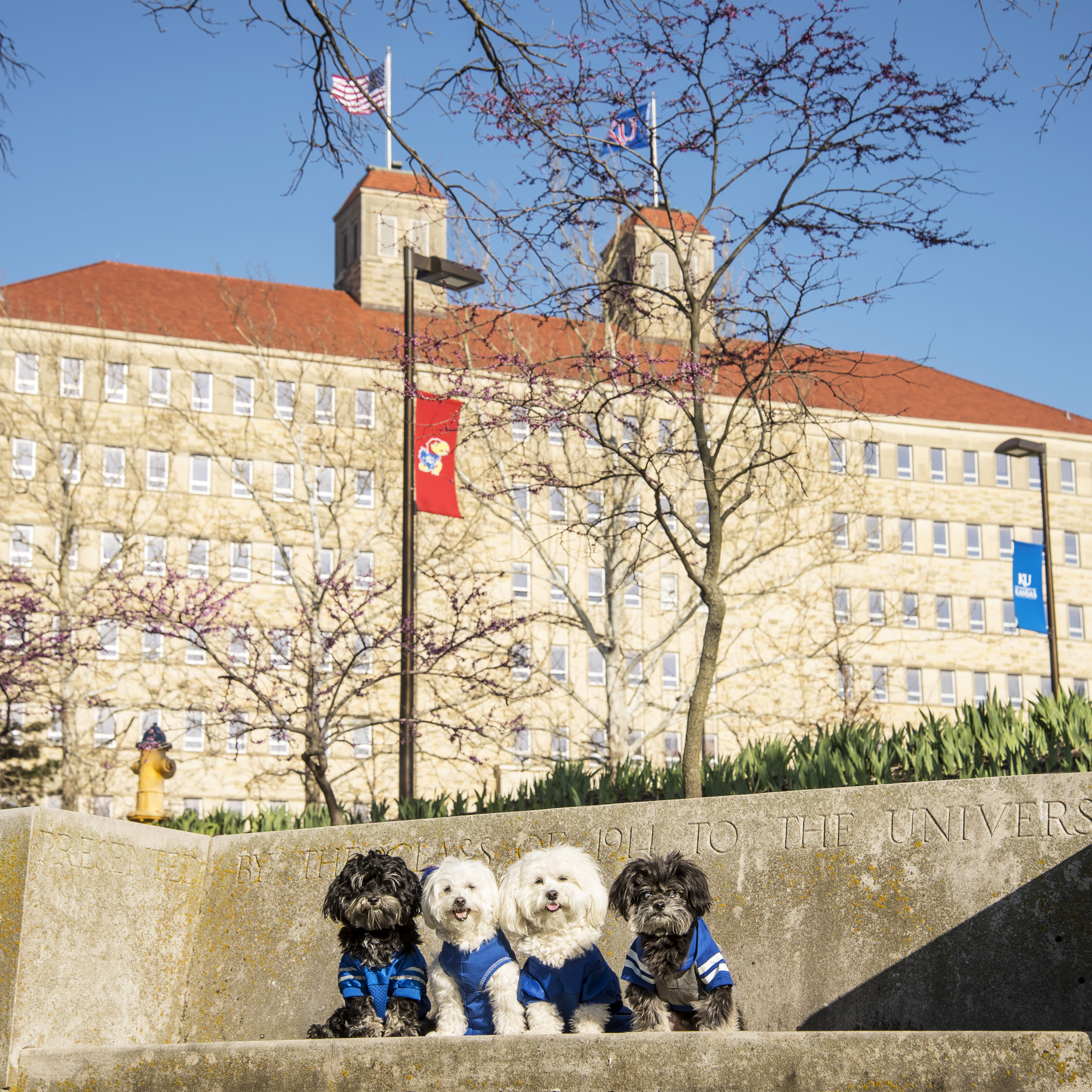  Fraser Hall with it’s iconic flags. 