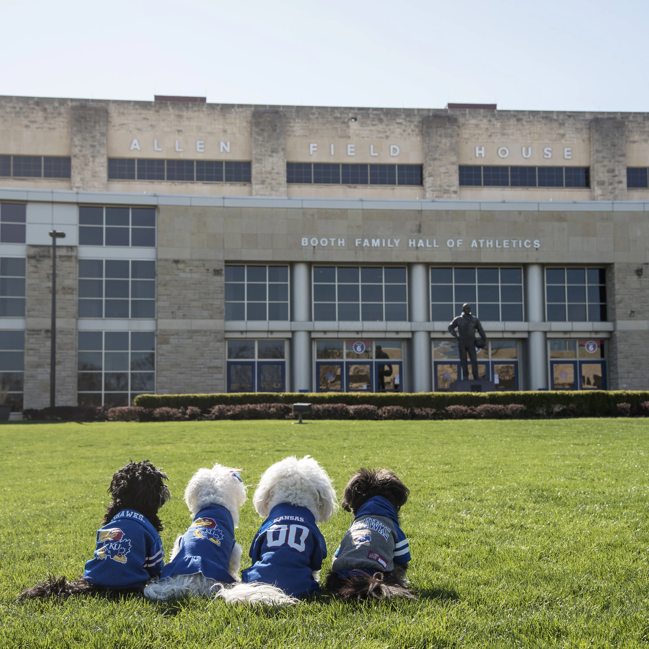 #RockChalkJayhawk