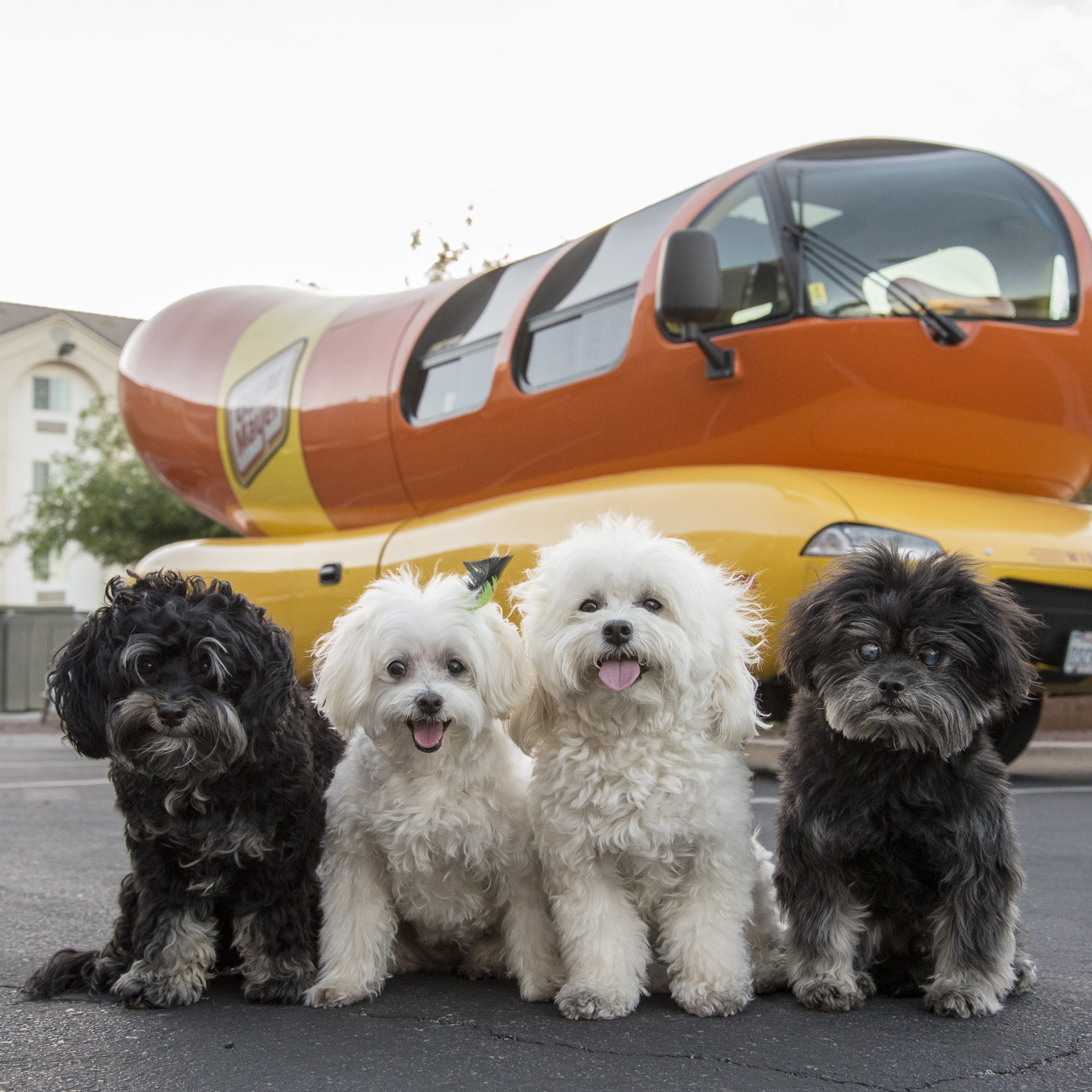  Guess what else we found…the  #Wienermobile !! 